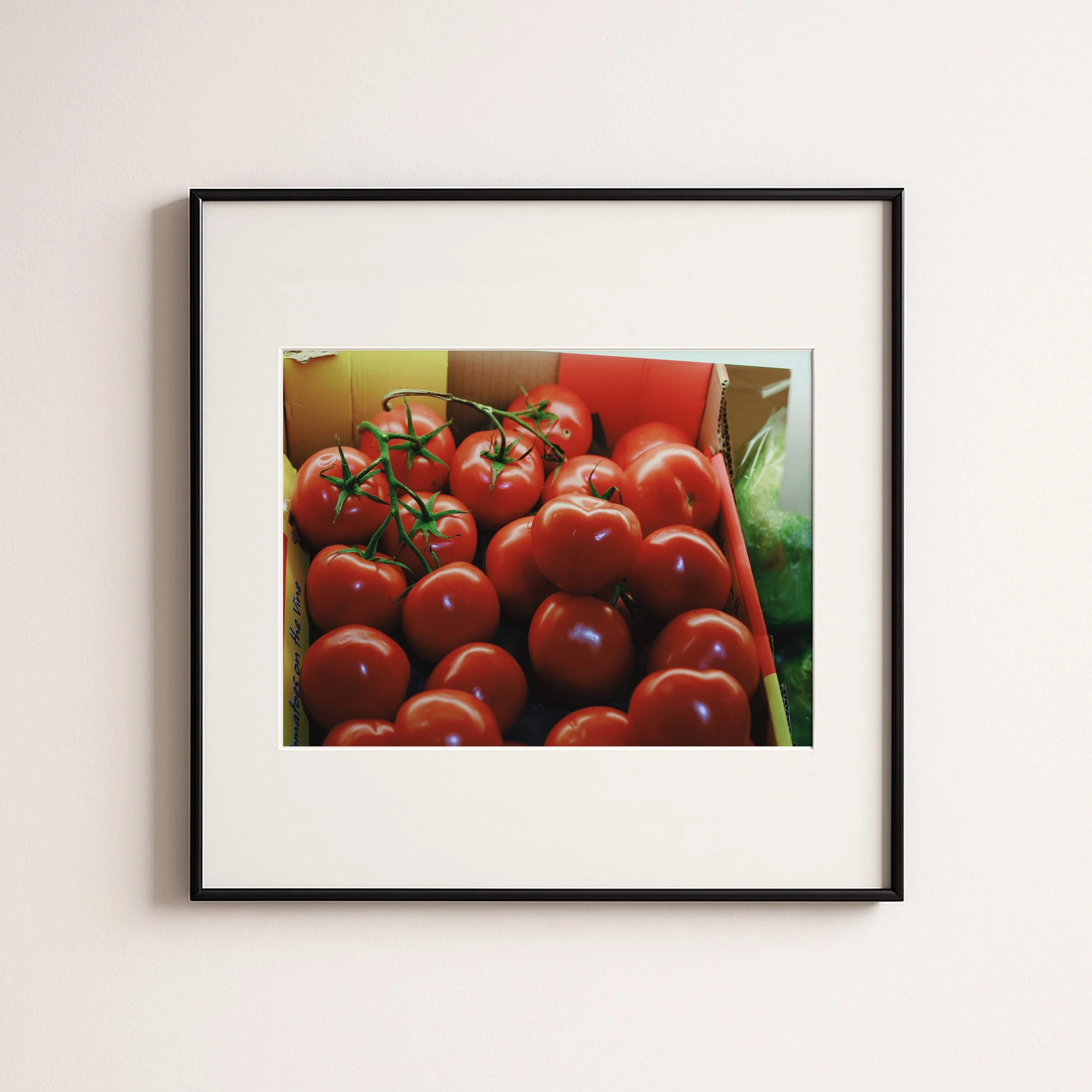 TOMATOES 2.jpg