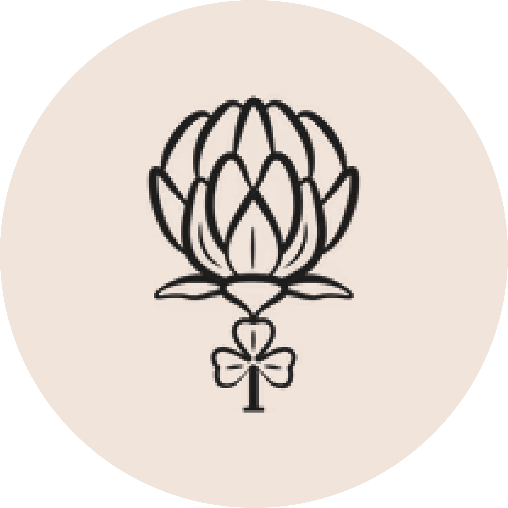 STOCKIST LOGOS-07.png