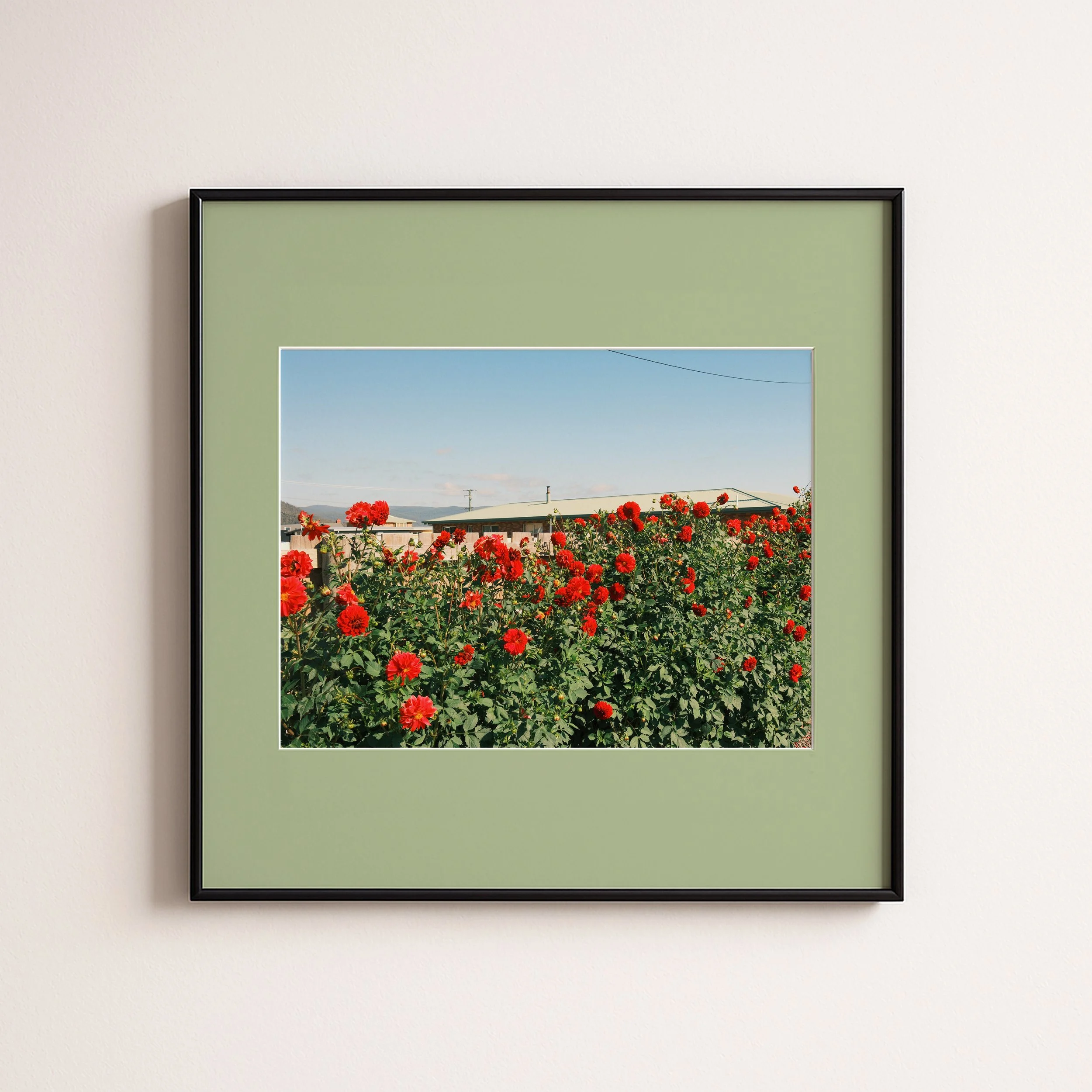 ROSES IN GREEN .jpg