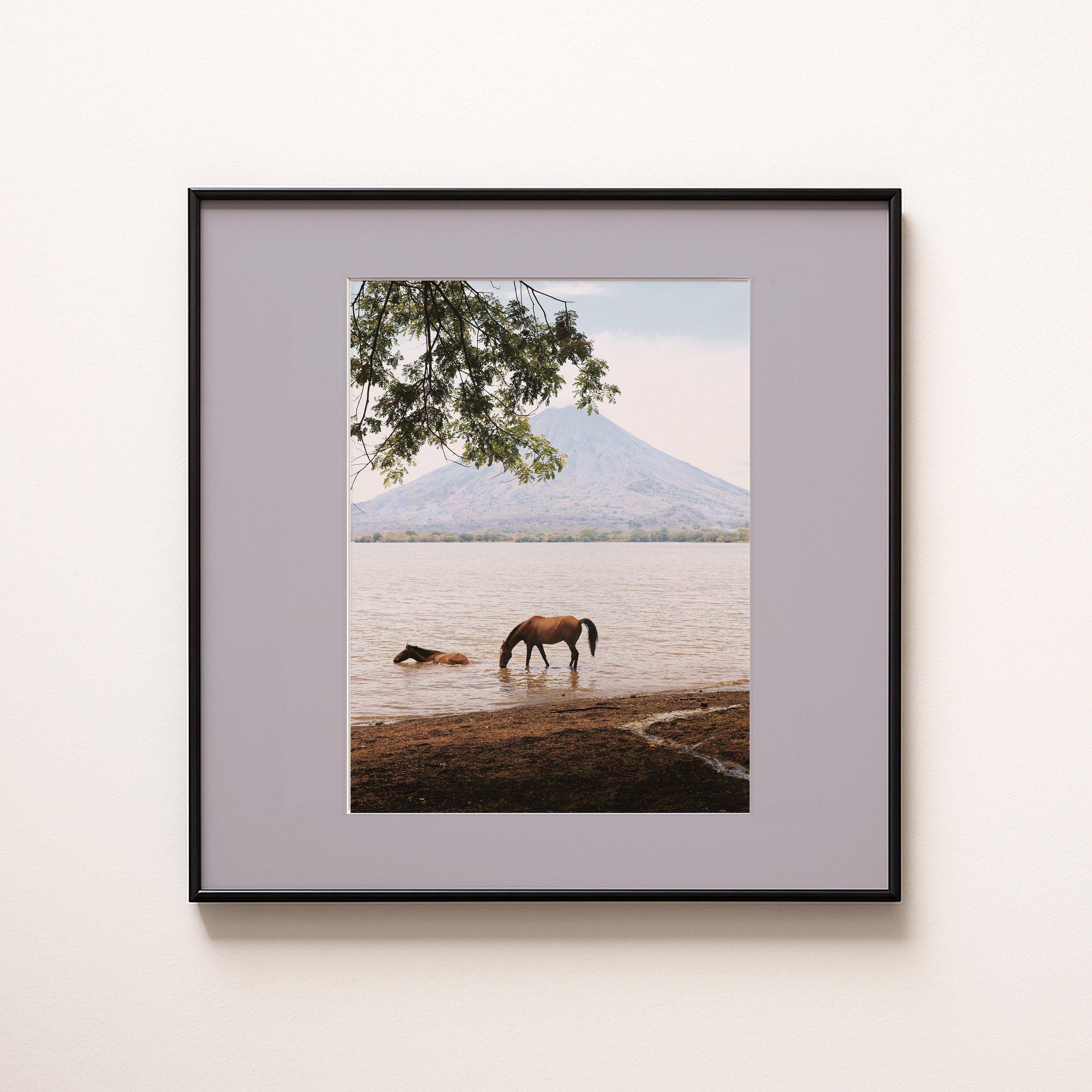 Ometepe
