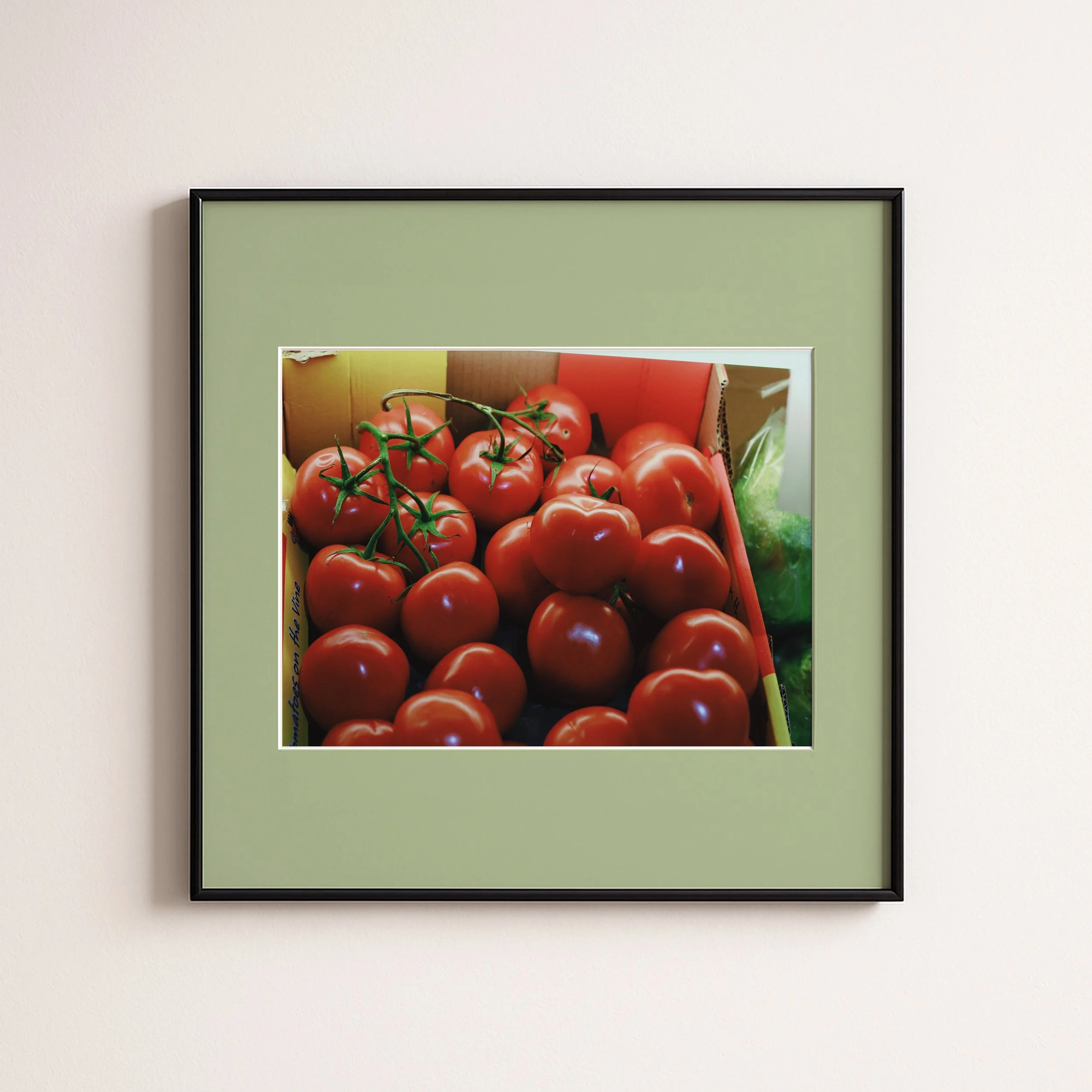TOMATOES 2 LIGHT GREEN .jpg