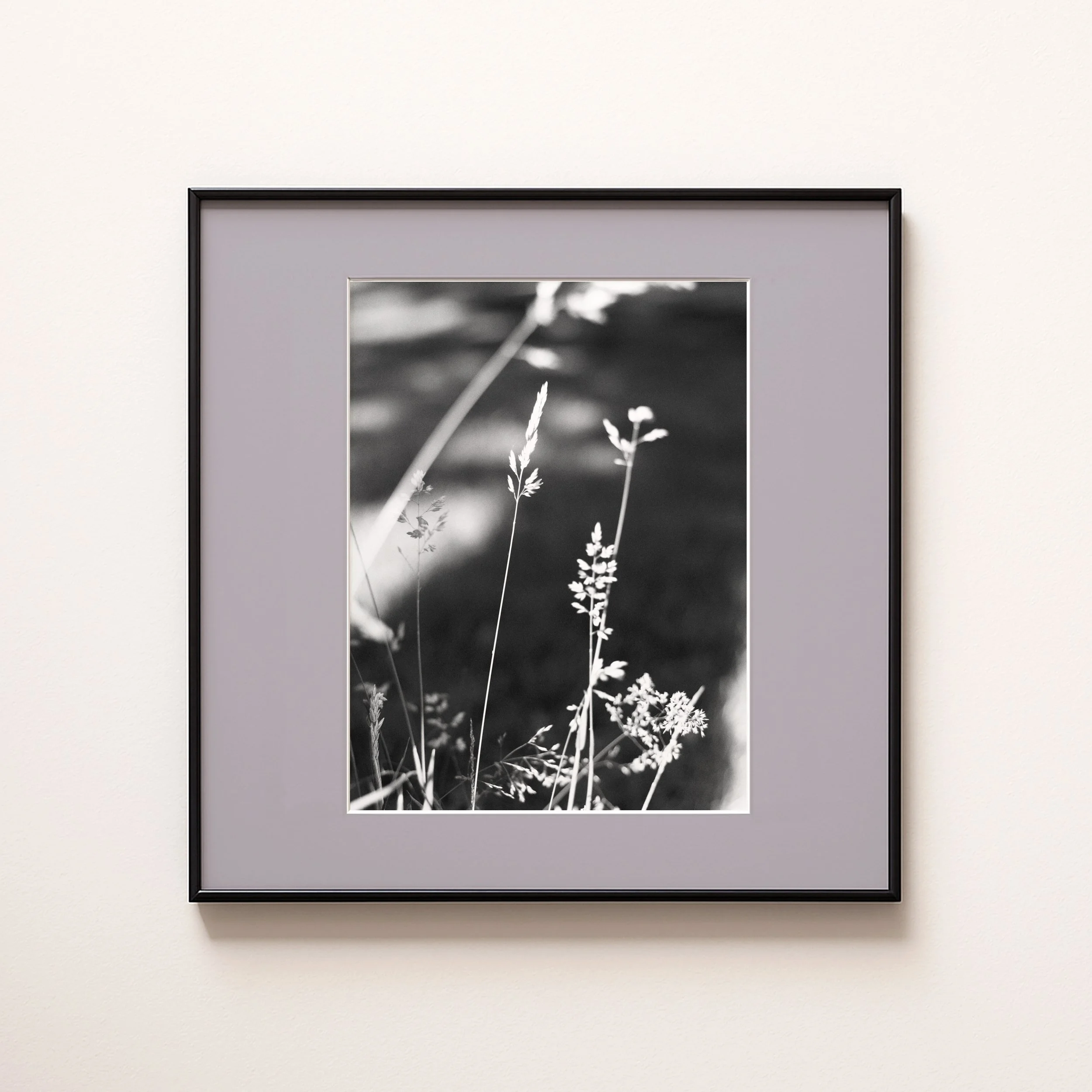 GRASS LILAC .jpg
