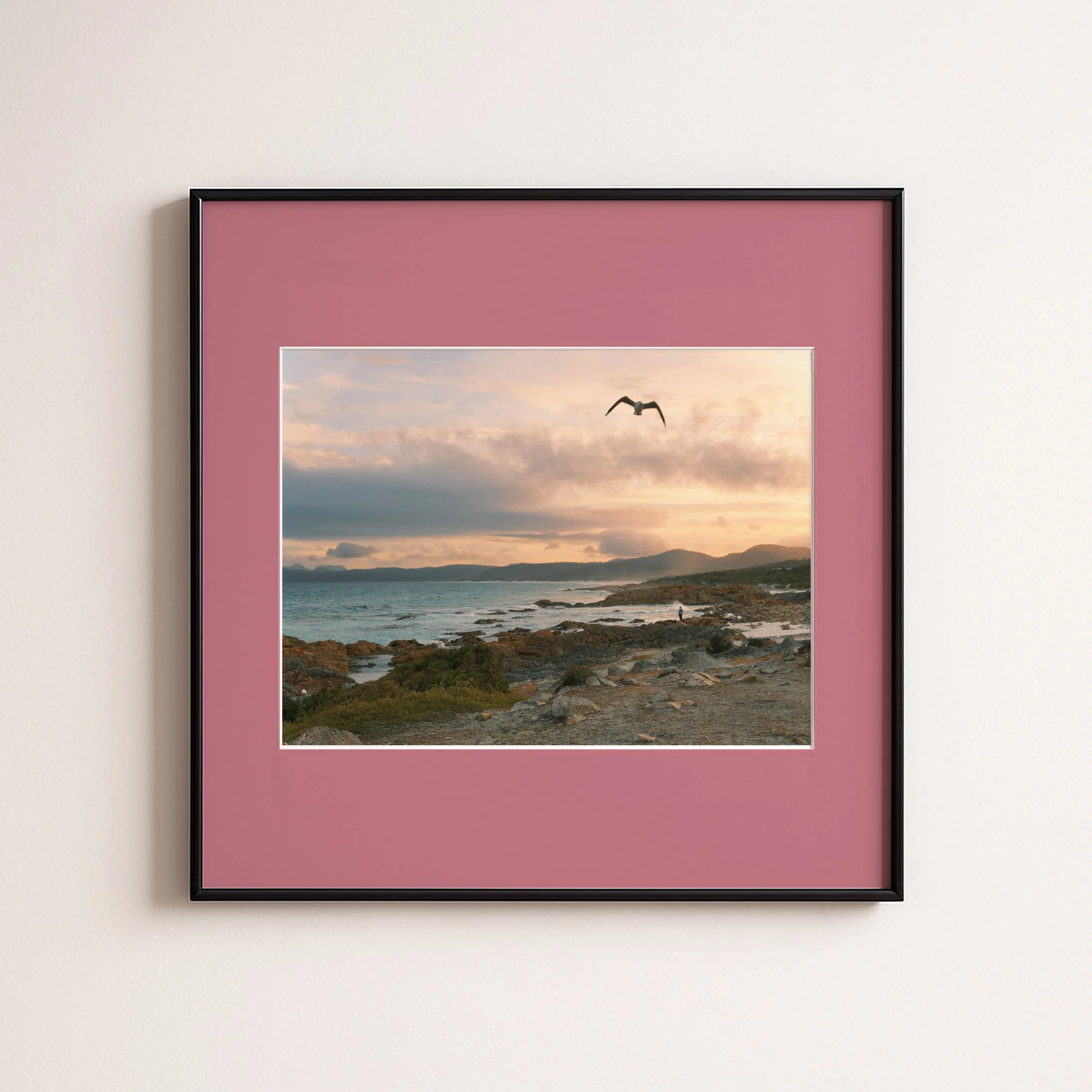 TASMANIA SUNSET PINK.jpg