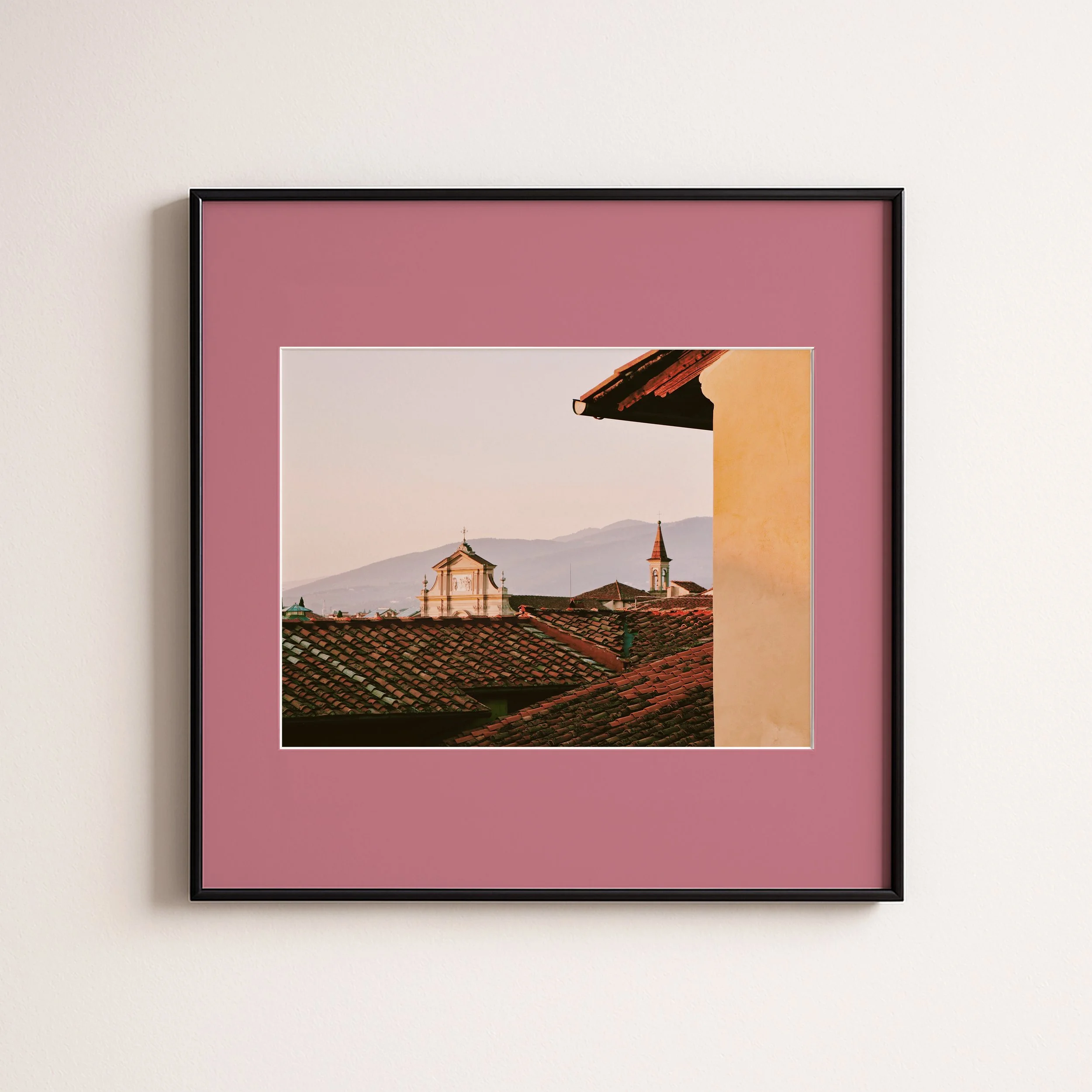 ROOFTOP PINK.jpg