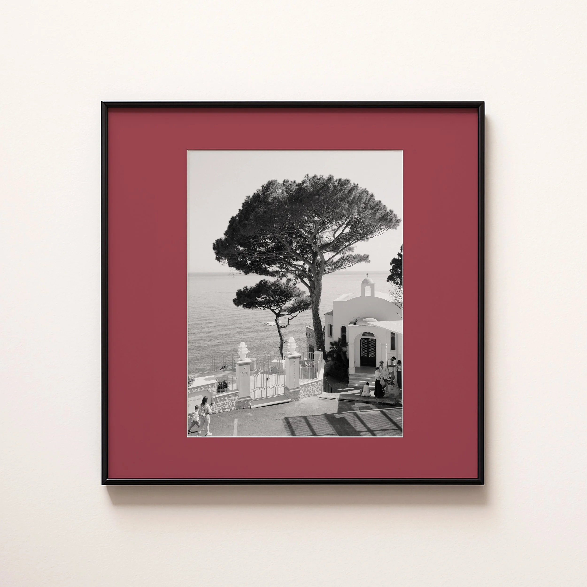 CAPRI TREES BLACK AND WHITE RED .jpg