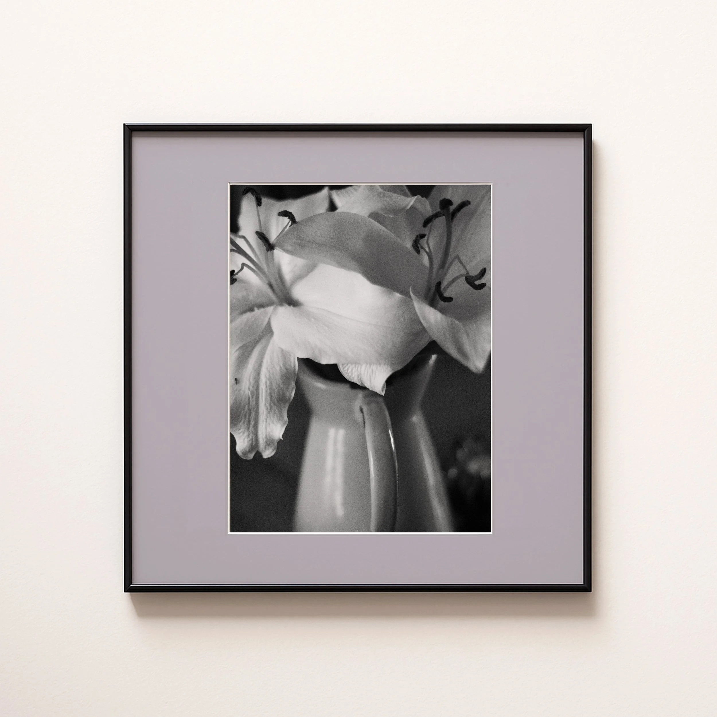 LILY LILAC.jpg