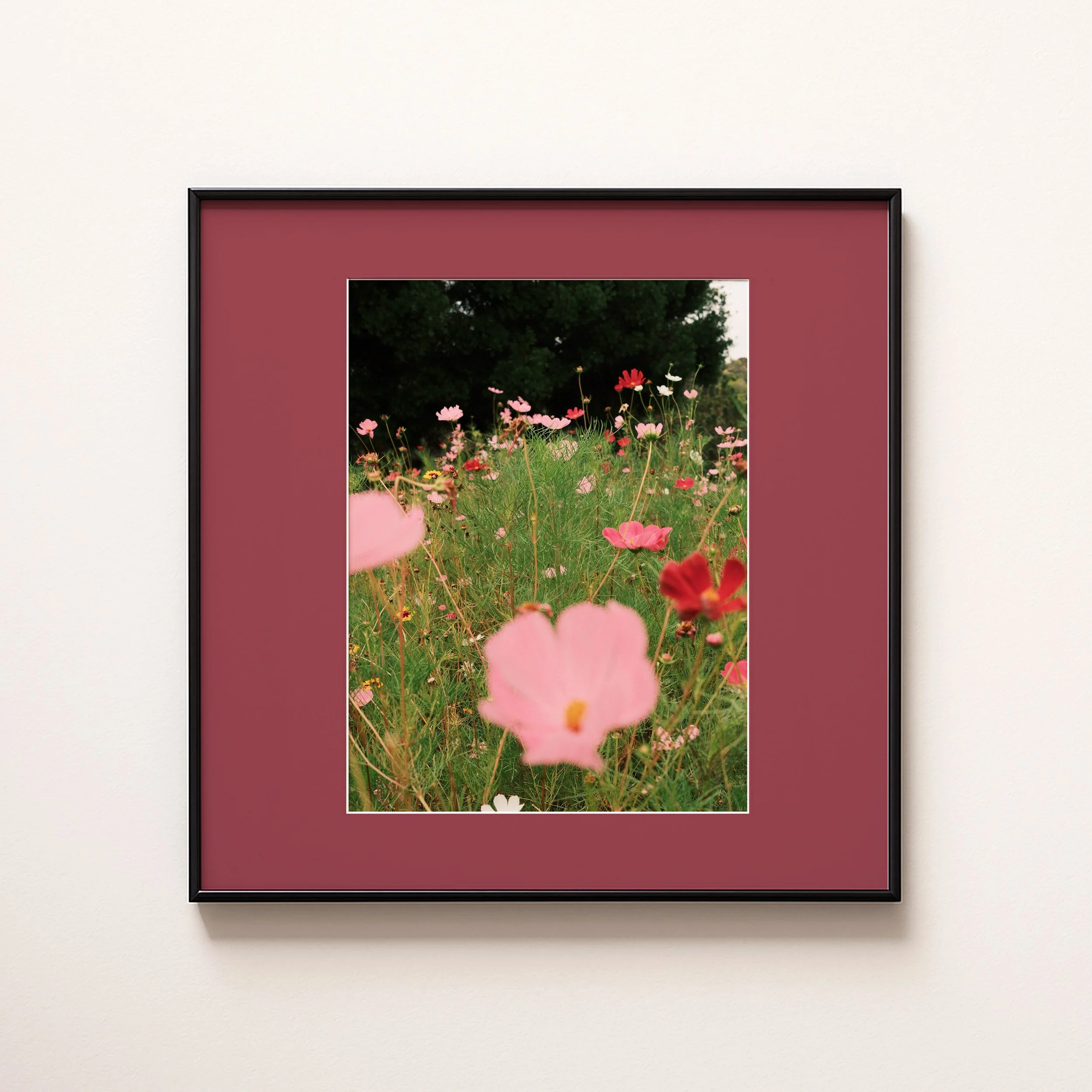 FLOWERS IN COLOUR RED .jpg