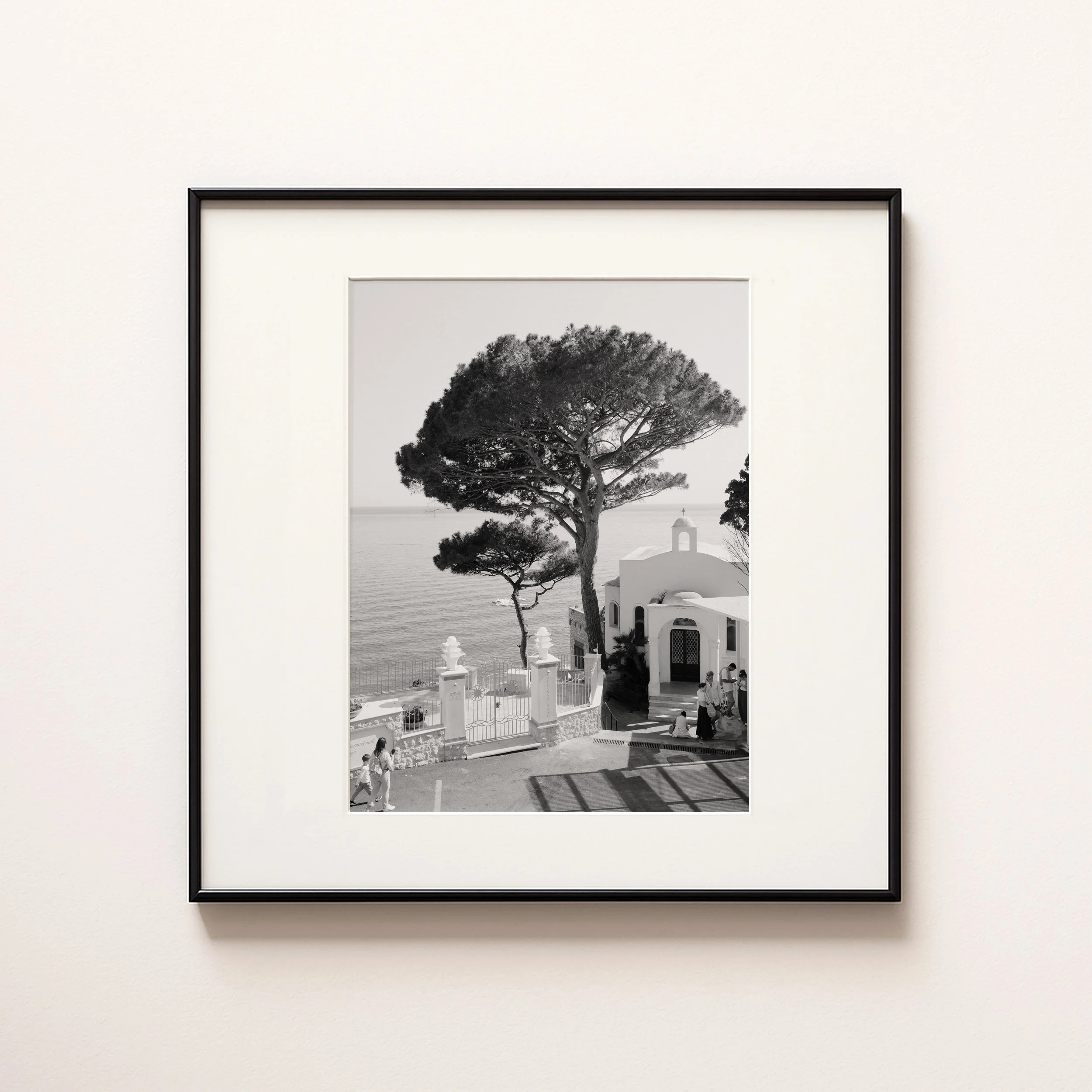 CAPRI TREES BLACK AND WHITE .jpg