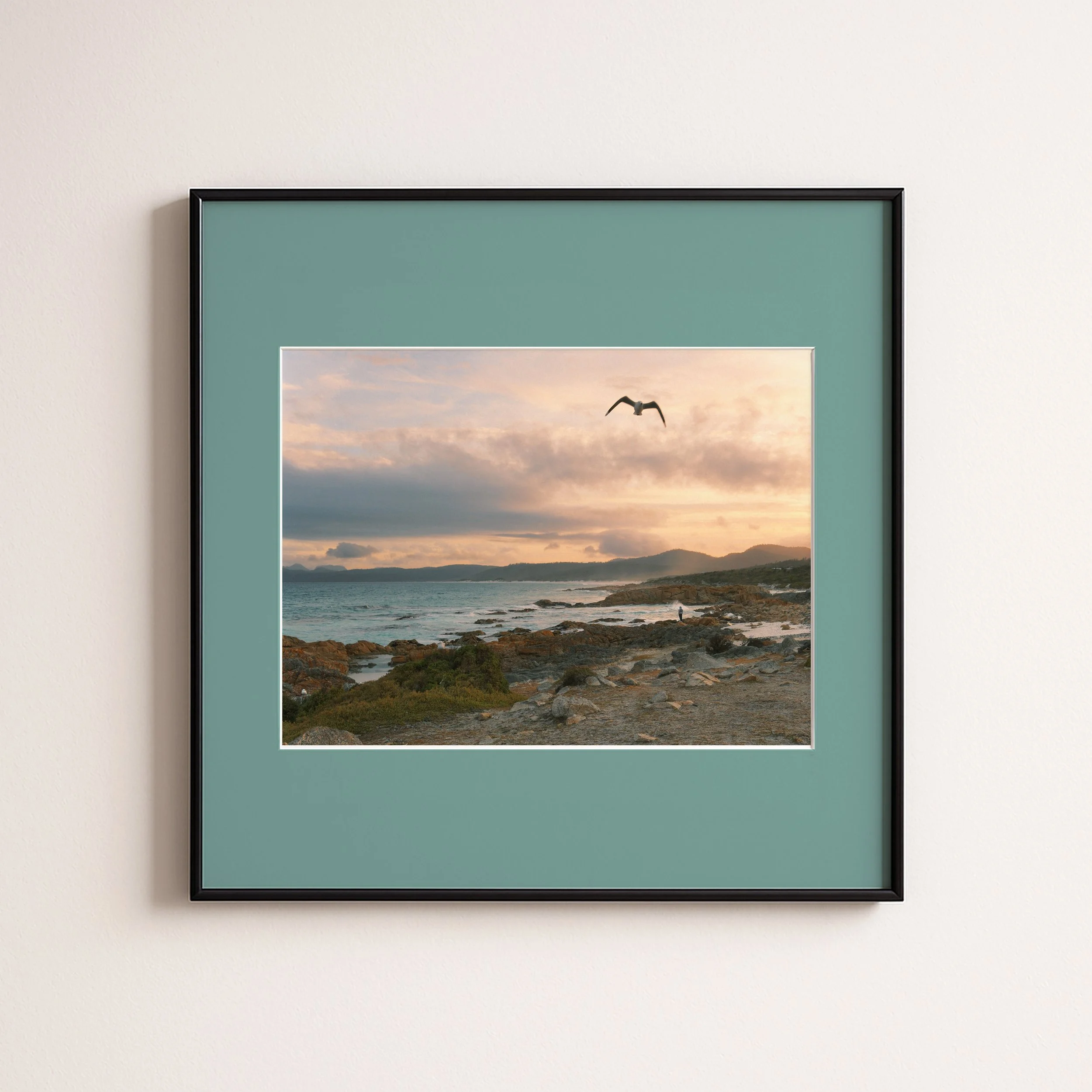 TASMANIA SUNSET DUCK EGG.jpg