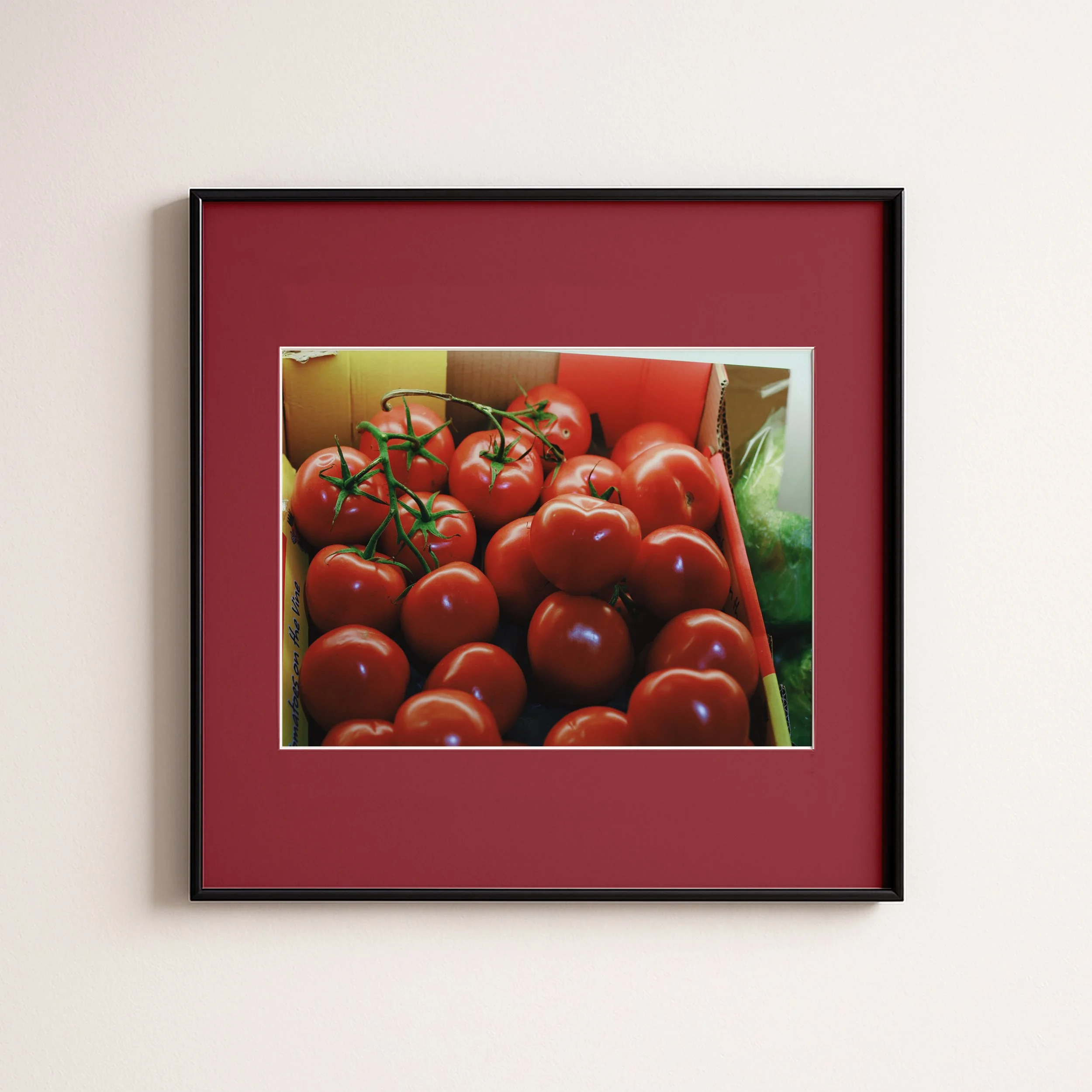 TOMATOES 2 DARK PINK .jpg