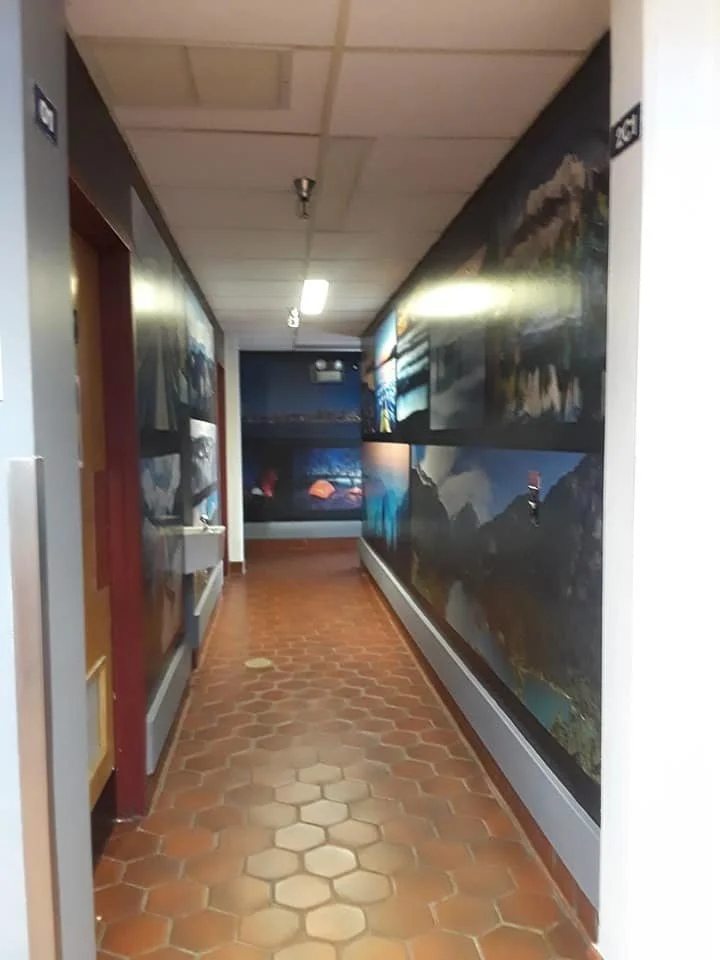 Window + Wall Graphics Gallery — Gunter Graphics | Creative Design