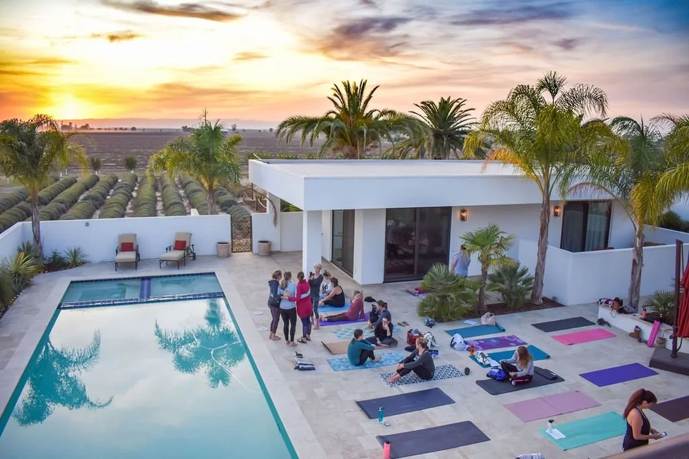 great-bear-vineyards