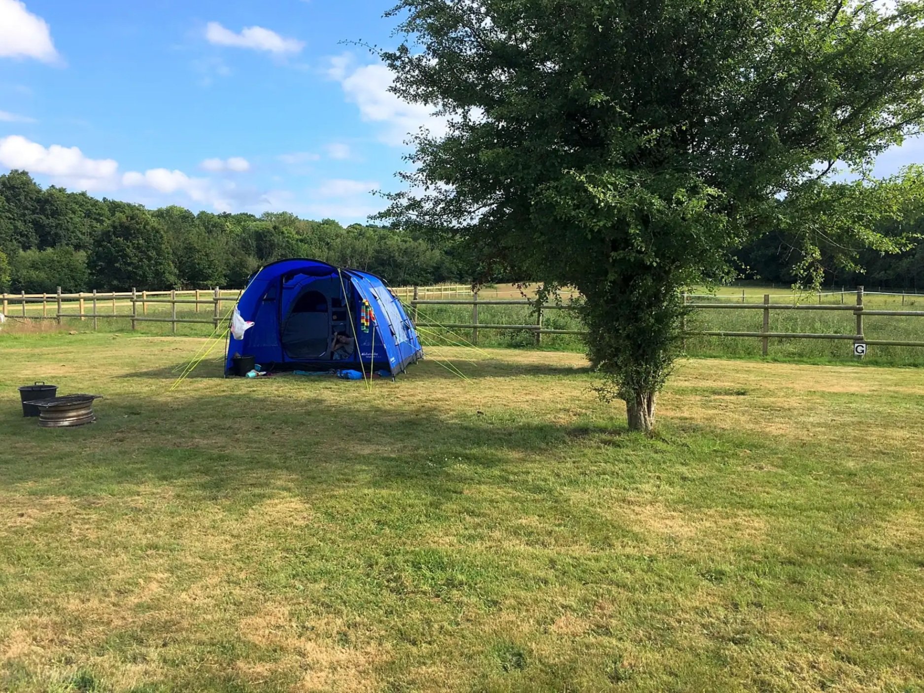 Grass+pitches+-+Strictly+Camping.jpg