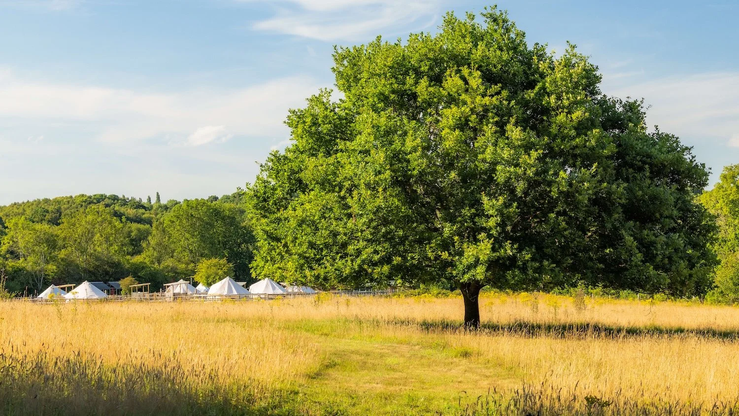 Strictly Camping - Glamping 5.jpg