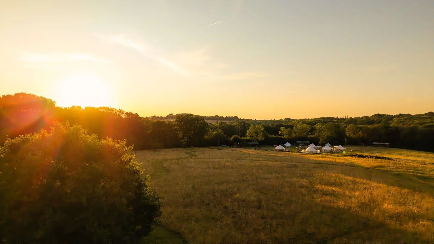 Strictly Camping-45.jpg