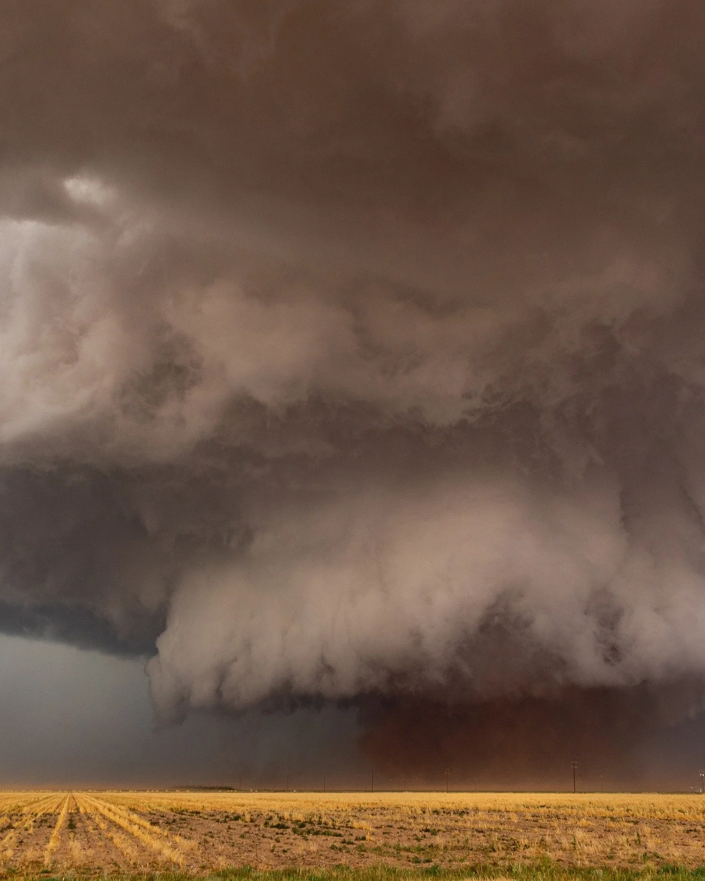 Colossus. A powerful tornado churns through the countryside near Morton, Texas, June 5th 2025.
.
This storm was pulling in huge amounts of dust, giving the sky a red tinge. It produced several tornadoes including this wedge, which at one point, was a