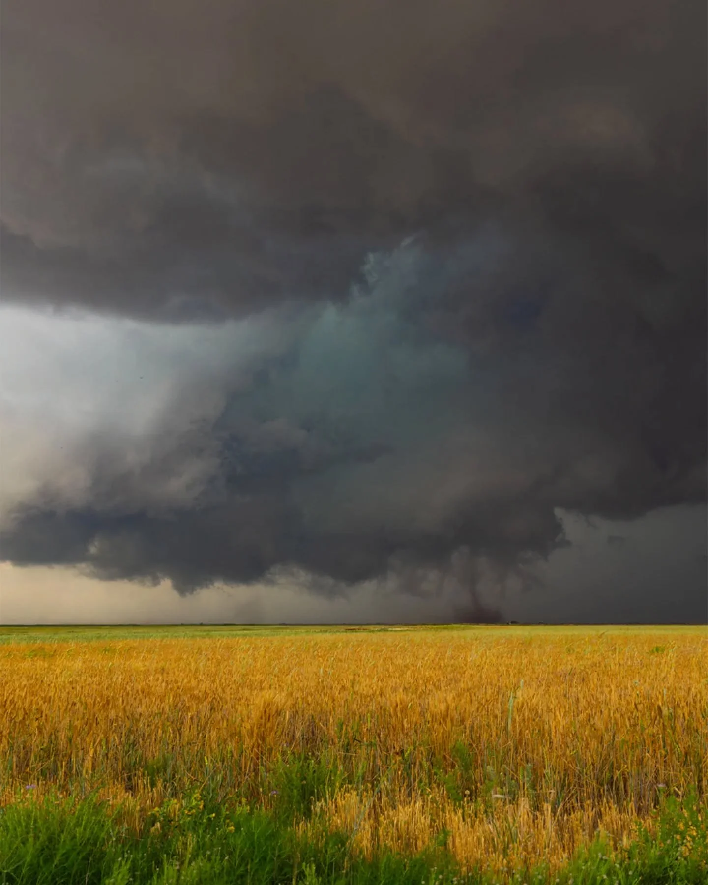 A tornado spins up over Texan fields, June 2025.
.
.
#storm #tornado #stormchasing #weather #cloudappreciationsociety