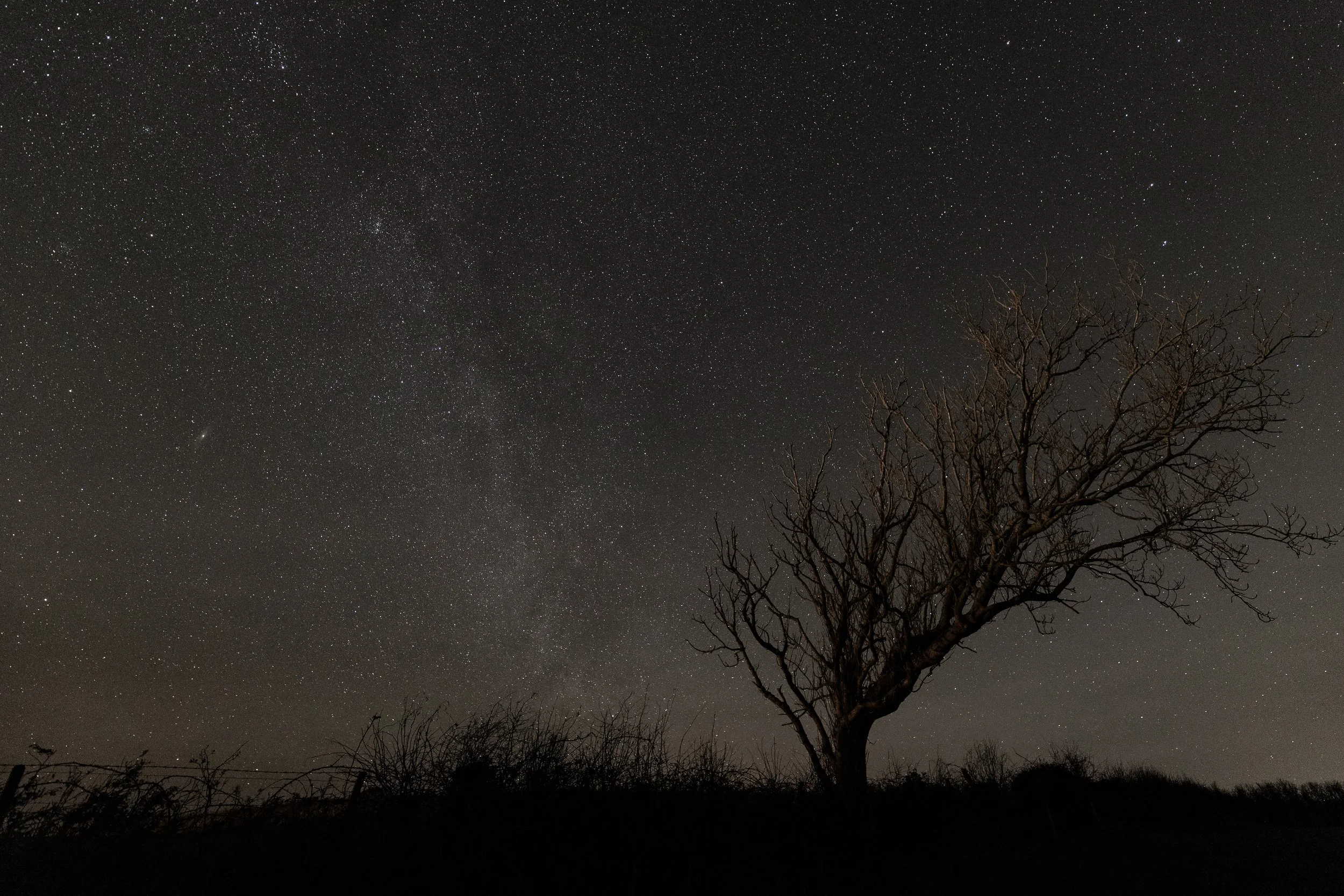 20251227_Doonfore_stars_TL-343.jpg