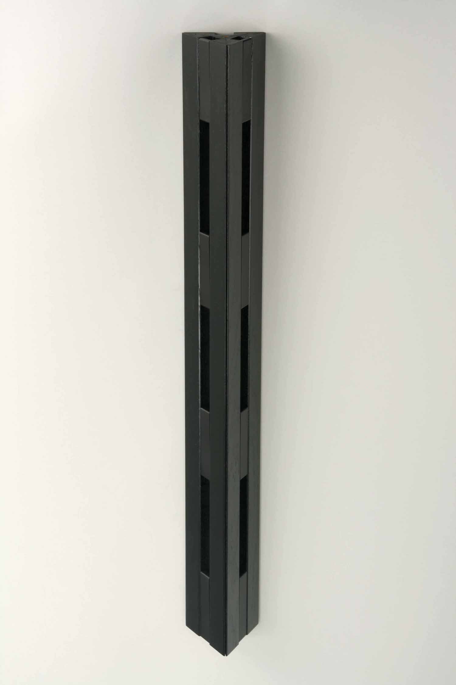 schwarz Garderobenhakenleiste vertikal mit 8 Haken - Eiche schwarz gebeizt