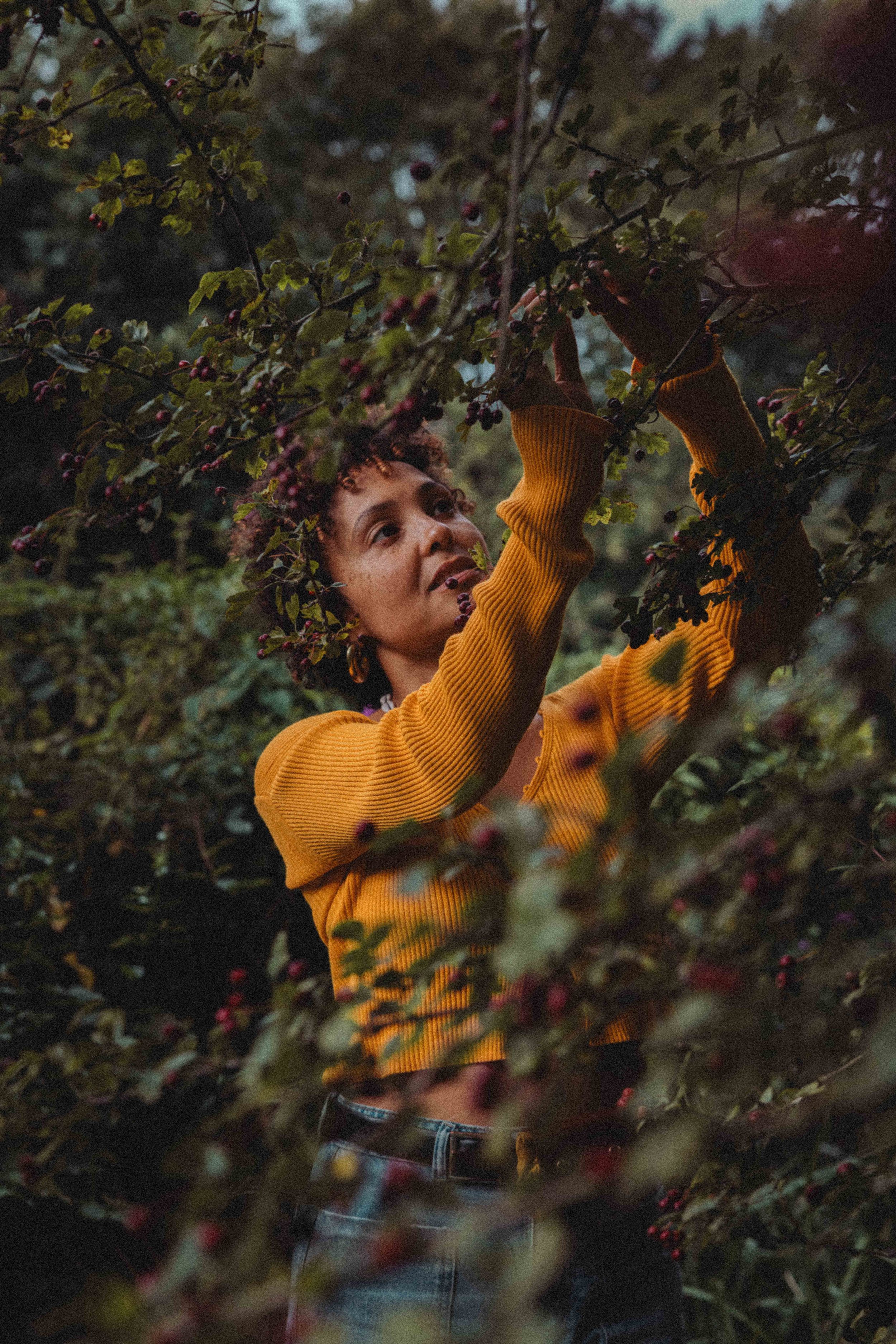 Forage & Taste with Electric Plant Kitchen and Earthchild Remedies