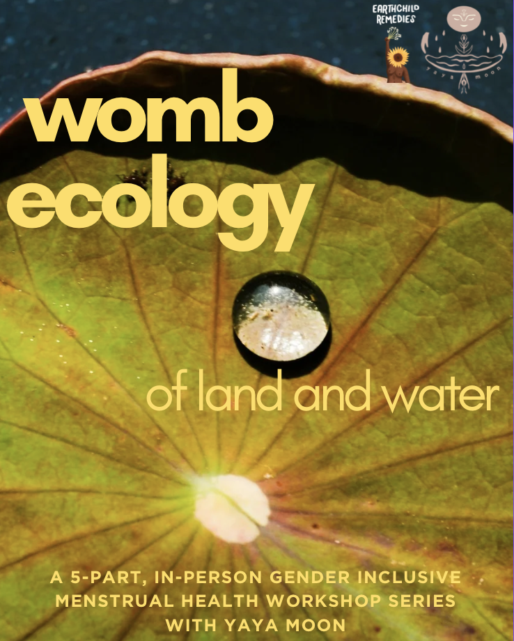 Womb ecology: of land and water (5 part workshop series)