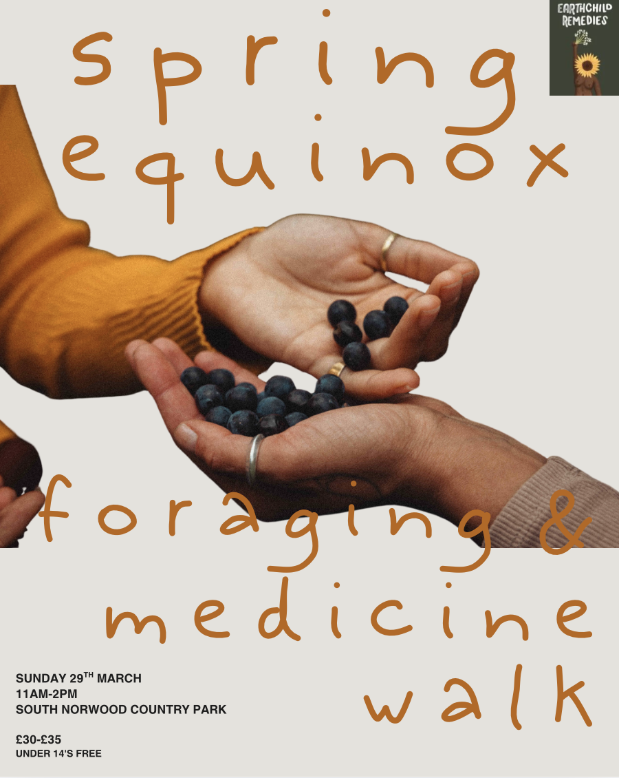 Spring Equinox Foraging & Medicine Walk