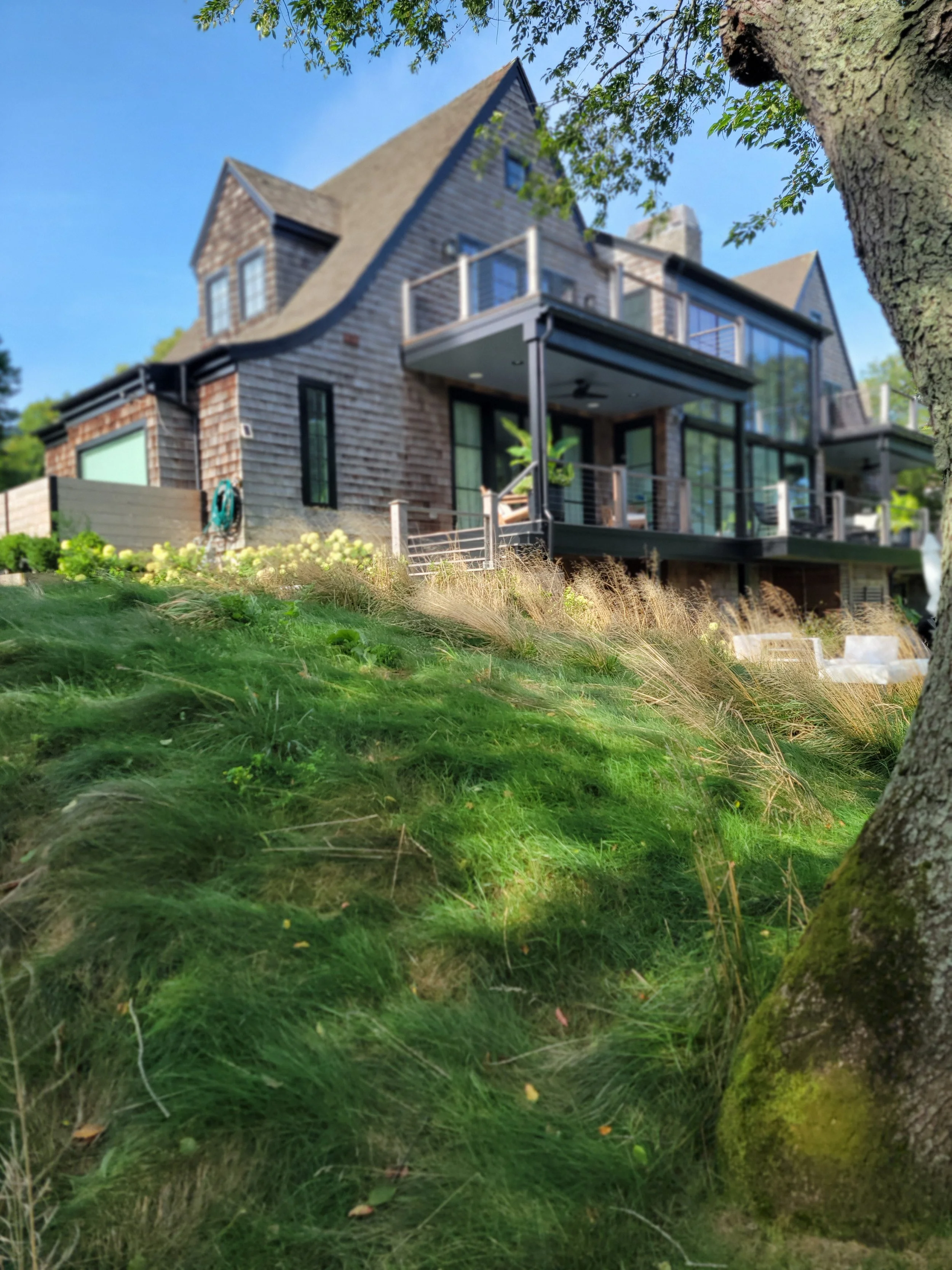 A hillside planted with native grasses, surrounded by greenery and a large tree in the foreground, with a large shingled home in the background.