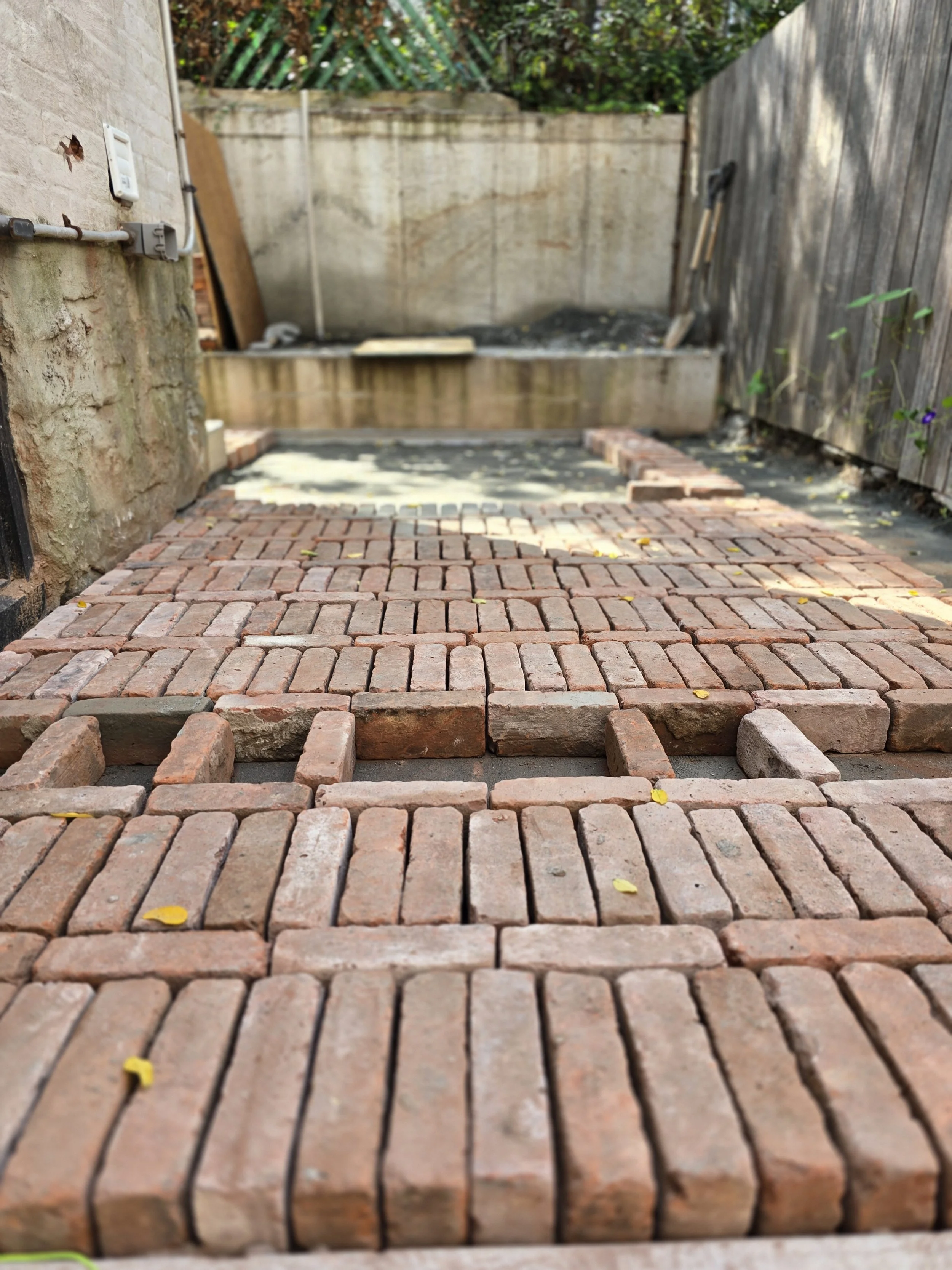 Renovation of outdoor brick patio with reclaimed brick pavers being laid out, surrounded by a wooden fence and a brick wall.