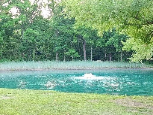pond.jpg