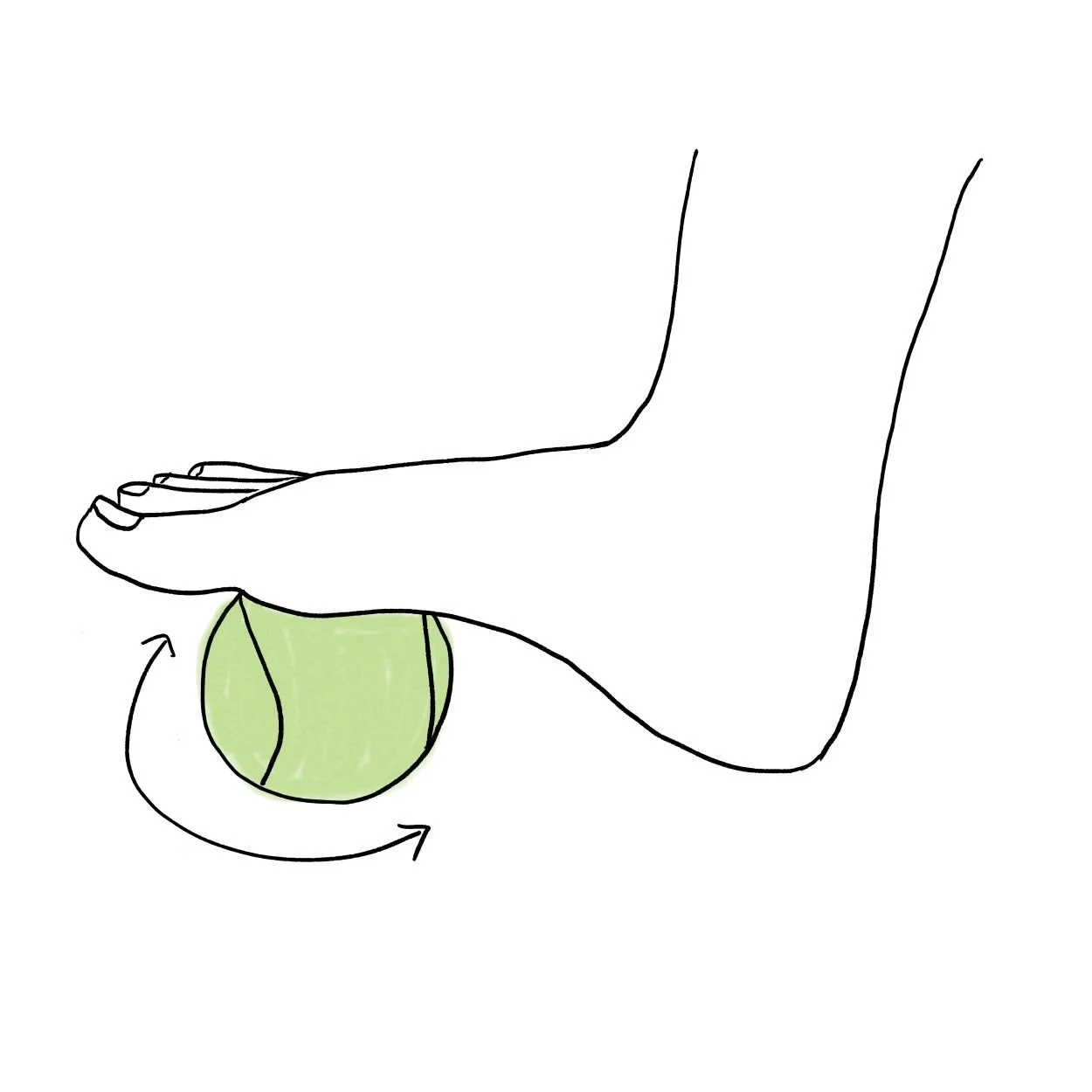 Plantar_Fascia.jpg