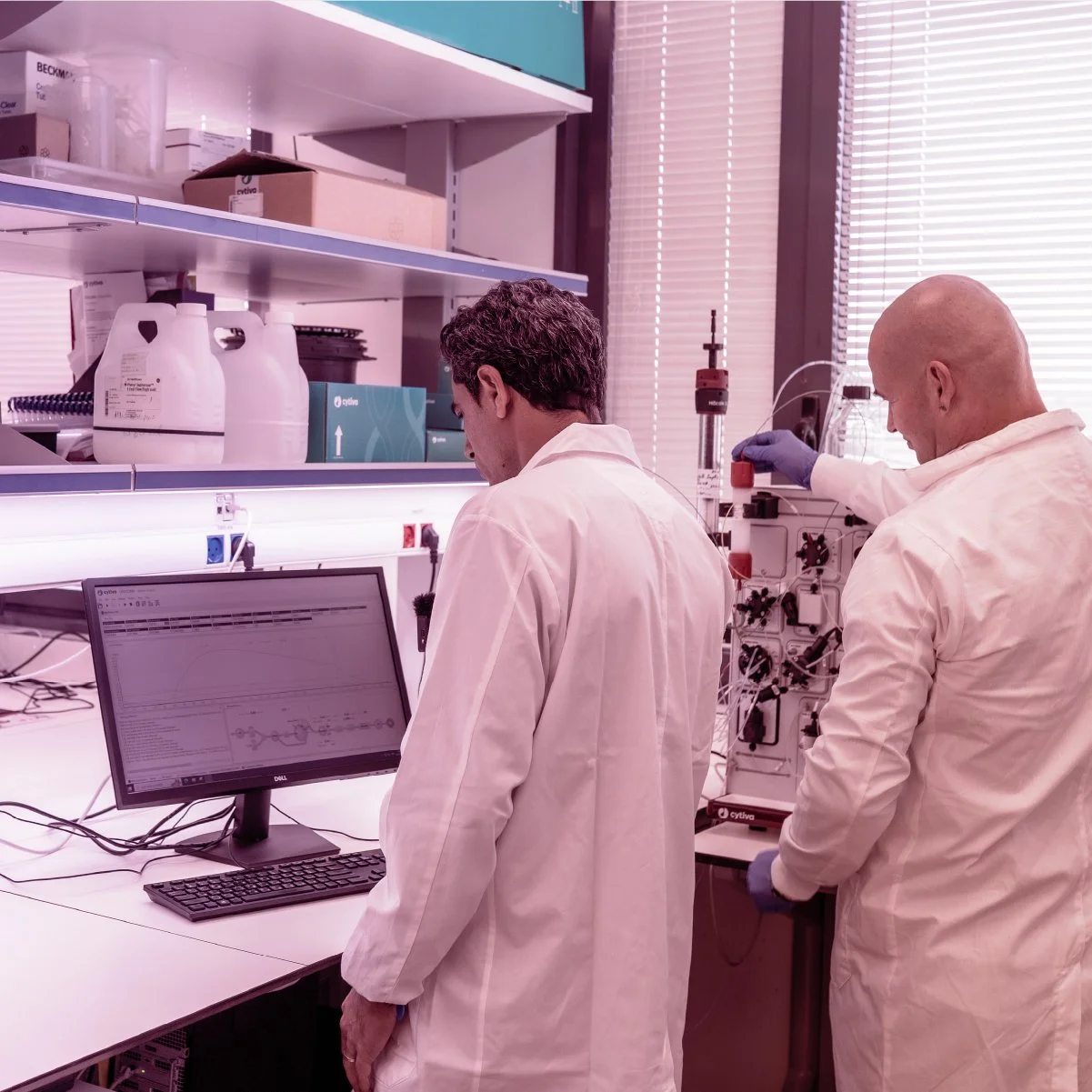 Artboard 2 copy 7-100.jpg