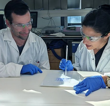 Process development & scale-up — Scinai