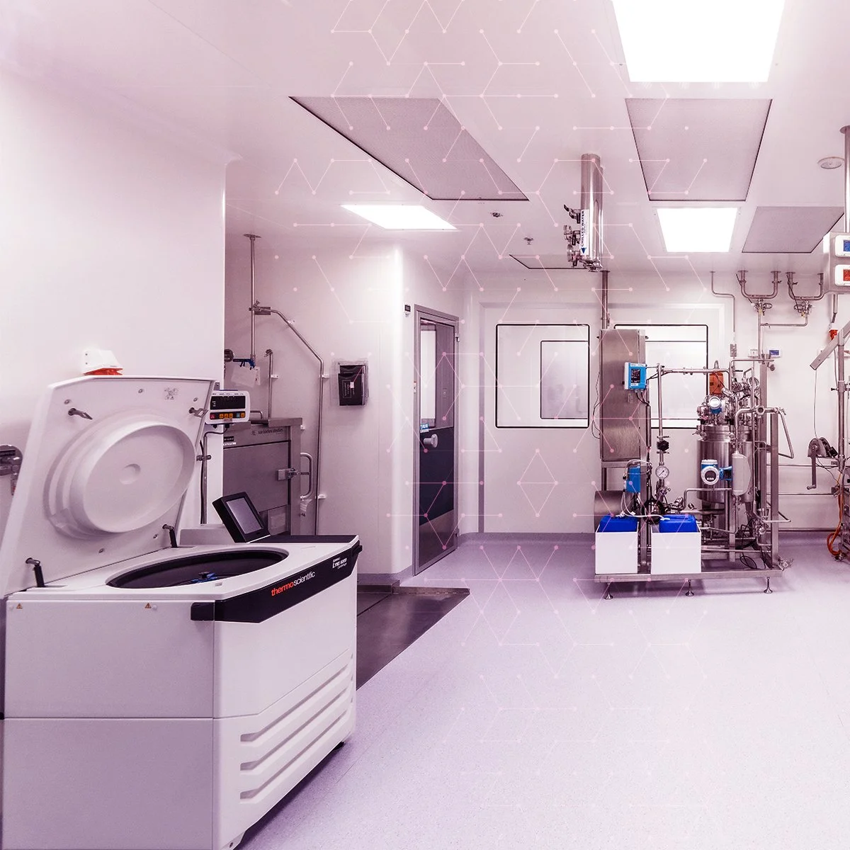 GALLERY CDMOsquare 03 copy.jpg