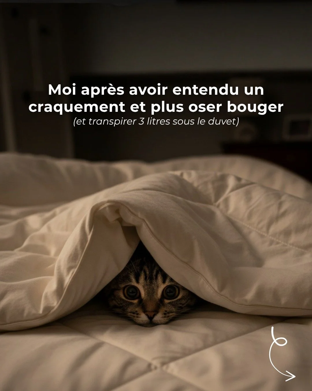 Un petit bruit&hellip; et tout un r&eacute;cit appara&icirc;t (danger, monstre, pr&eacute;sence).
Le cerveau prot&egrave;ge, mais surestime. On peut le r&eacute;guler. 
#BiofeedbackTNS #TrainingNeuroSensoriel #systemenerveuxd&eacute;regl&eacute;