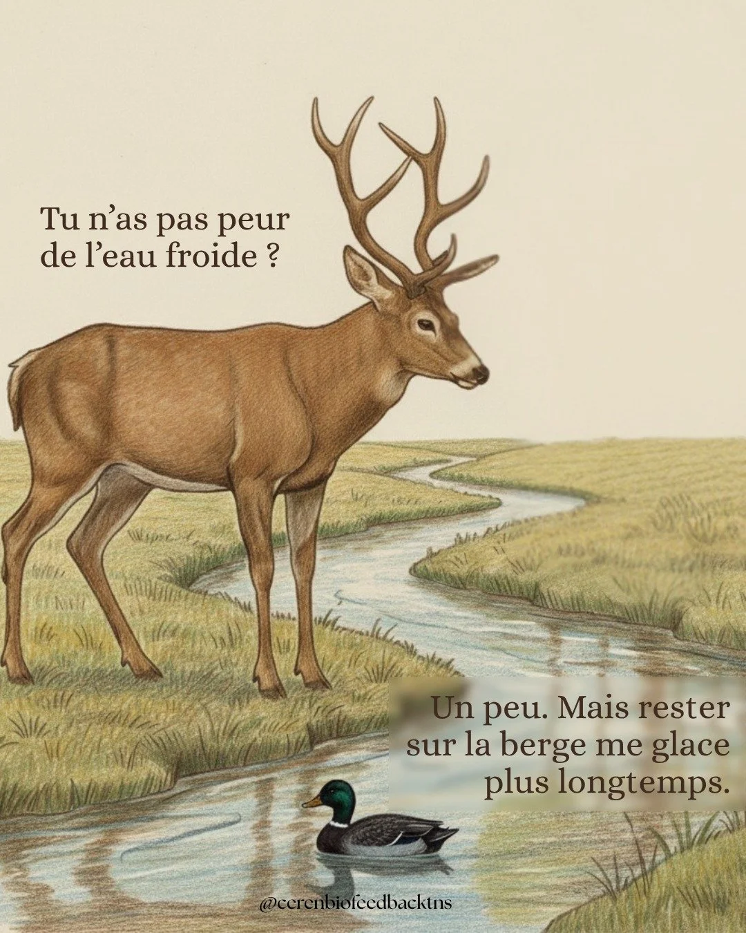 On a souvent plus froid en attendant qu&rsquo;en agissant.
L&rsquo;anticipation active le stress ; un petit pas rassure le syst&egrave;me nerveux.
Respire long, sens tes pieds, puis fais juste le premier pas.

#biofeedback #systemenerveux #regulation