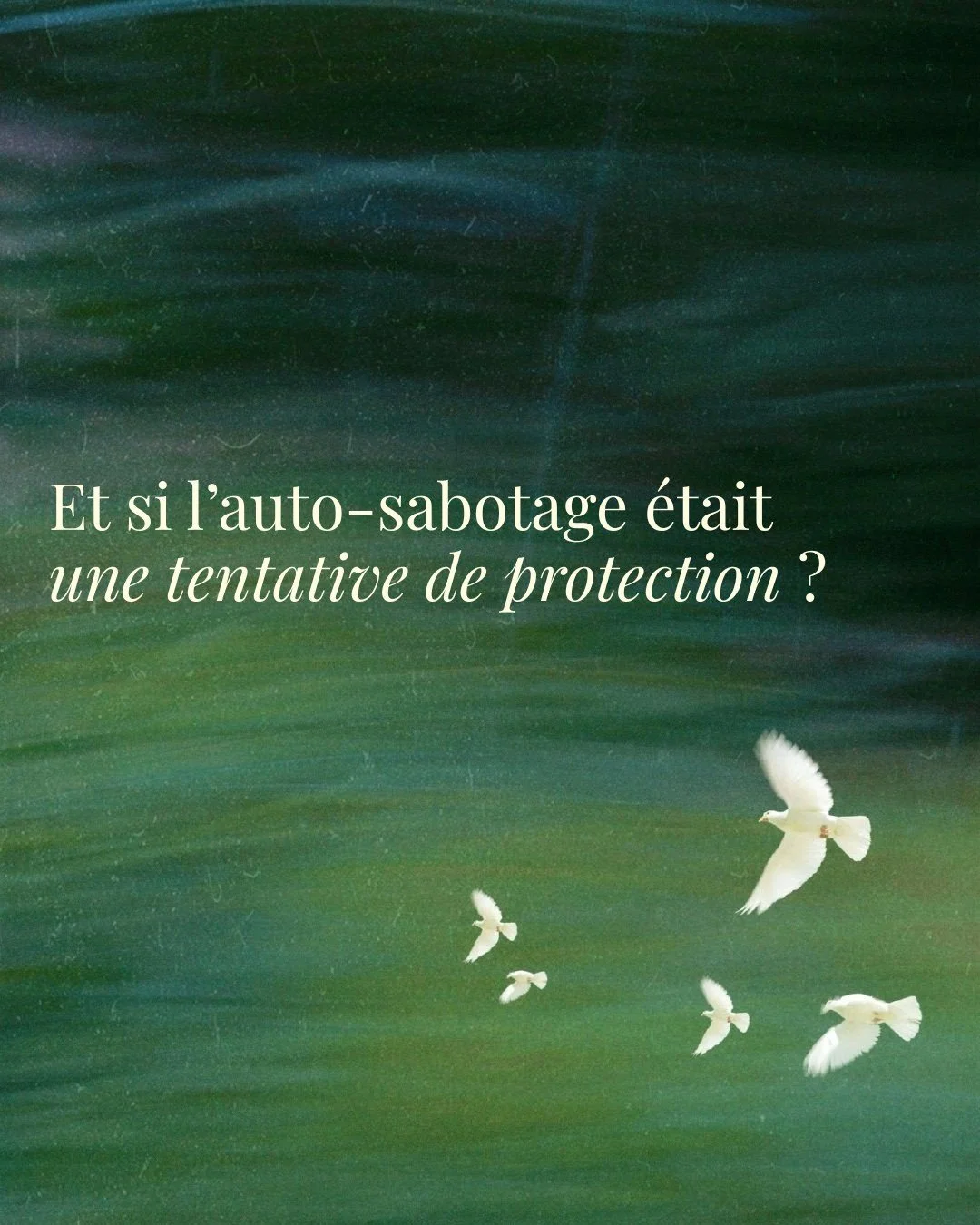 Il y a des comportements qu&rsquo;on juge longtemps avant de les comprendre.

On se reproche de repousser, de contr&ocirc;ler, de fuir, de se fermer&hellip; alors qu&rsquo;une partie de nous essaie peut-&ecirc;tre simplement de ne pas revivre une sen
