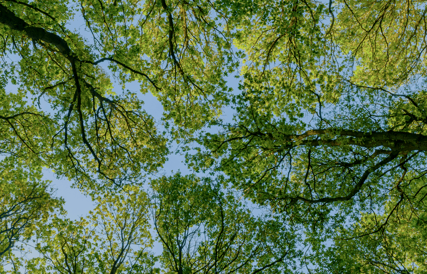 Biofeedback TNS suisse.png