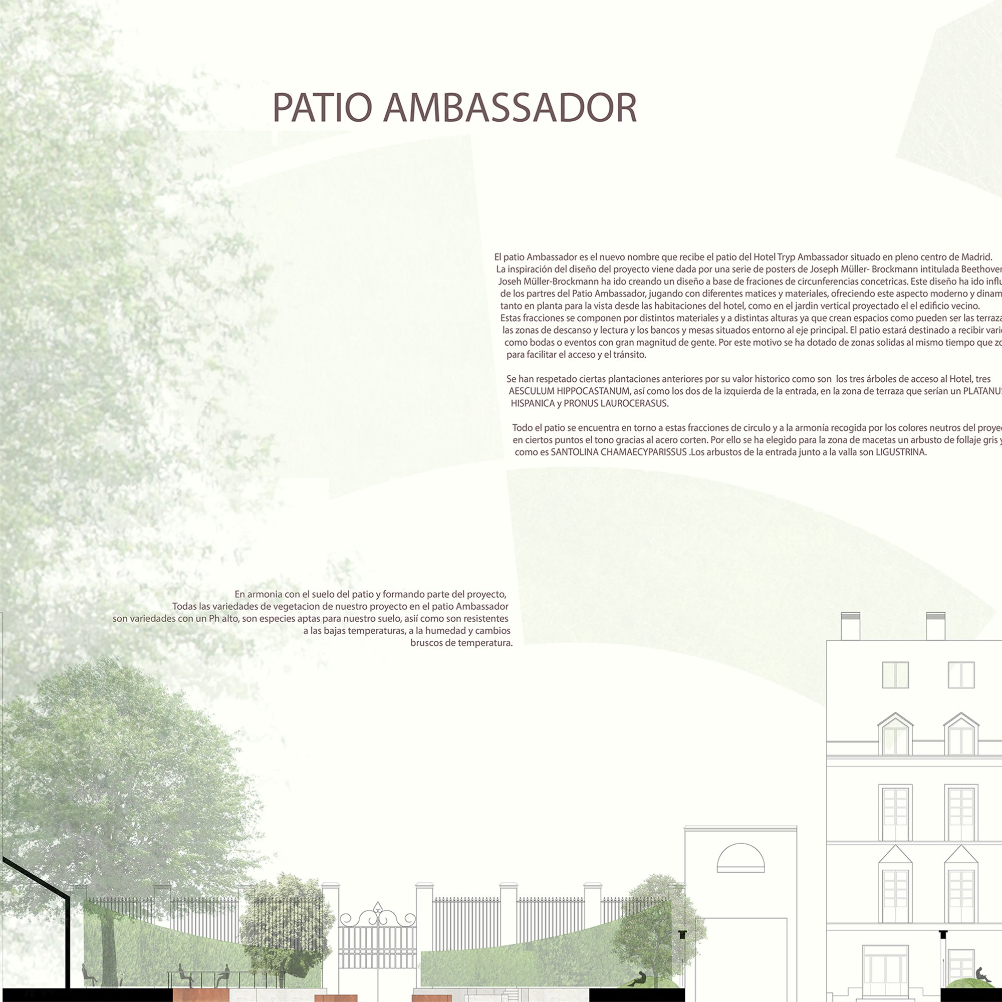 TRISTAN COGNET - PATIO AMBASSADOR 1.jpg