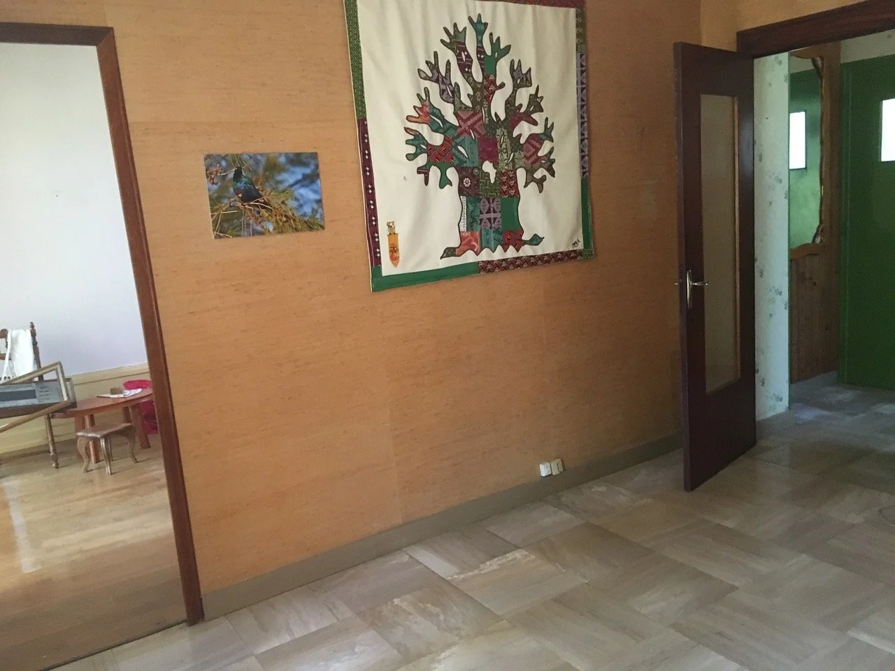 IMG_6261.jpeg