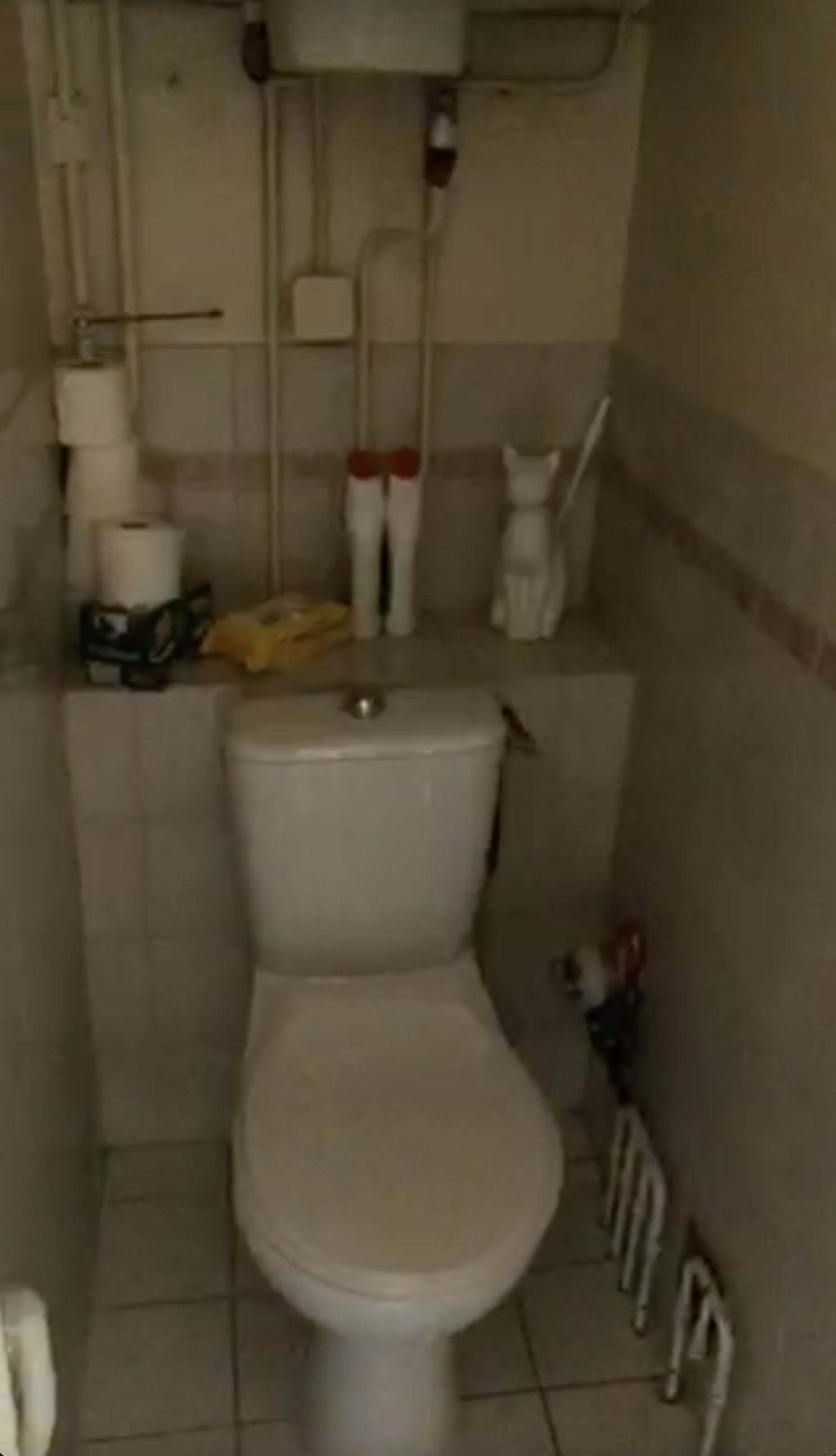 TRISTAN COGNET - MARGNOLLES AVANT - WC.png