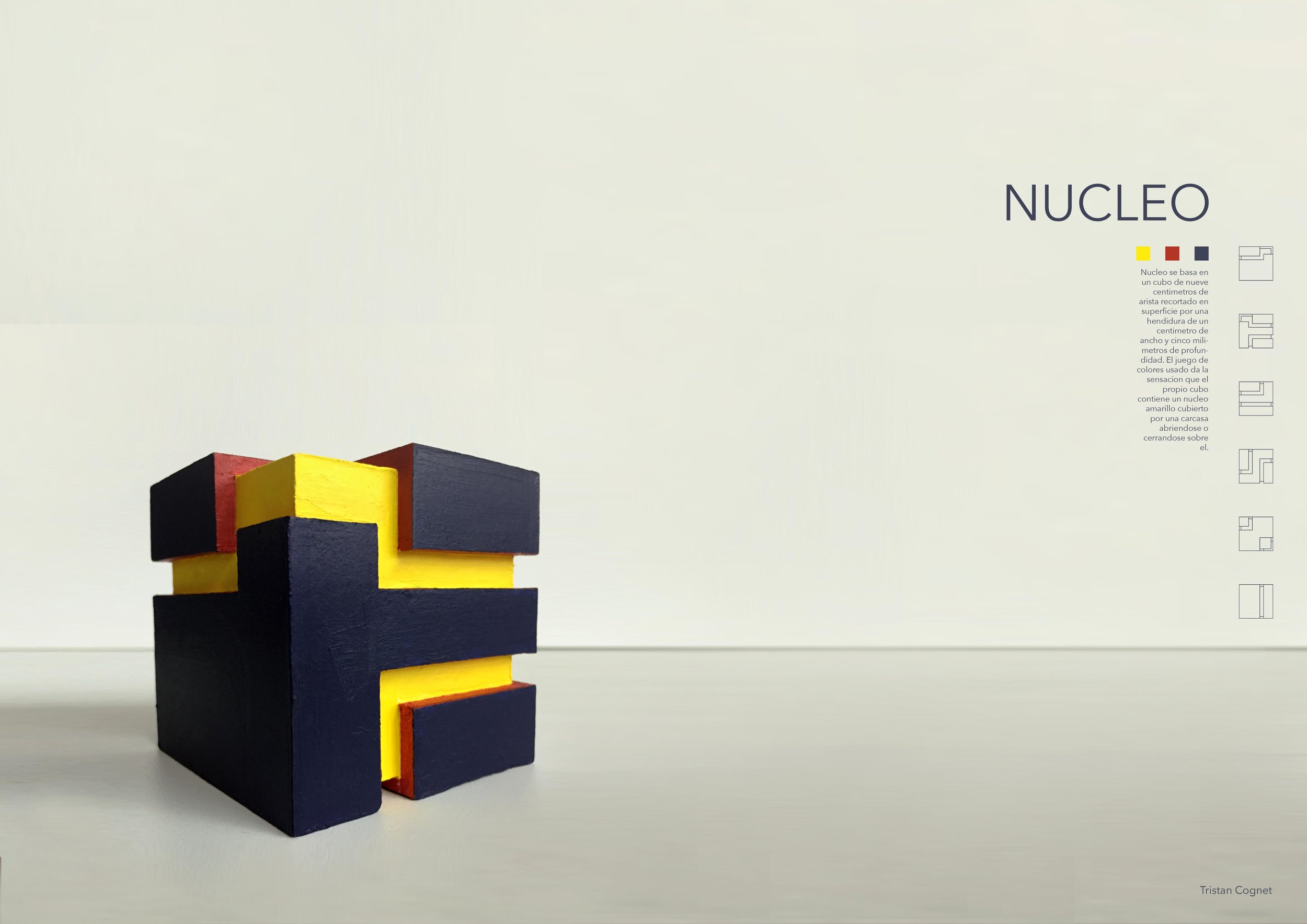 NUCLEO.jpg