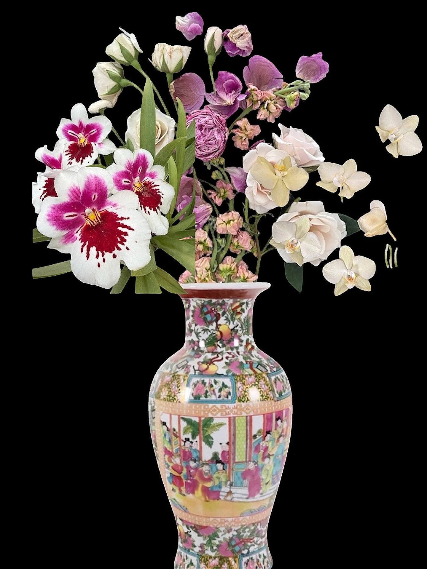 chinesefullorchid.jpg