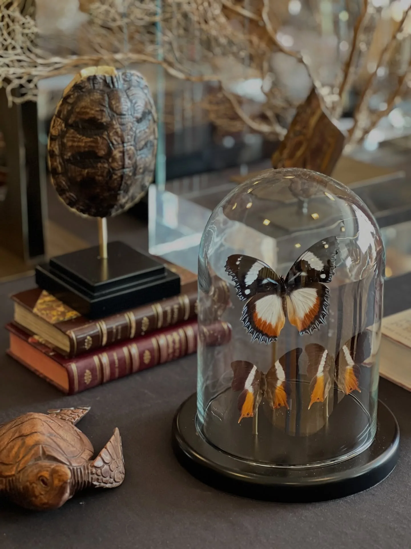 PT. O verdadeiro luxo revela-se nos detalhes.

Entre asas delicadas, formas org&acirc;nicas e pe&ccedil;as que celebram a singularidade da natureza, a @shop_one_of_a_kind apresenta uma cole&ccedil;&atilde;o exclusiva que desperta fasc&iacute;nio e el