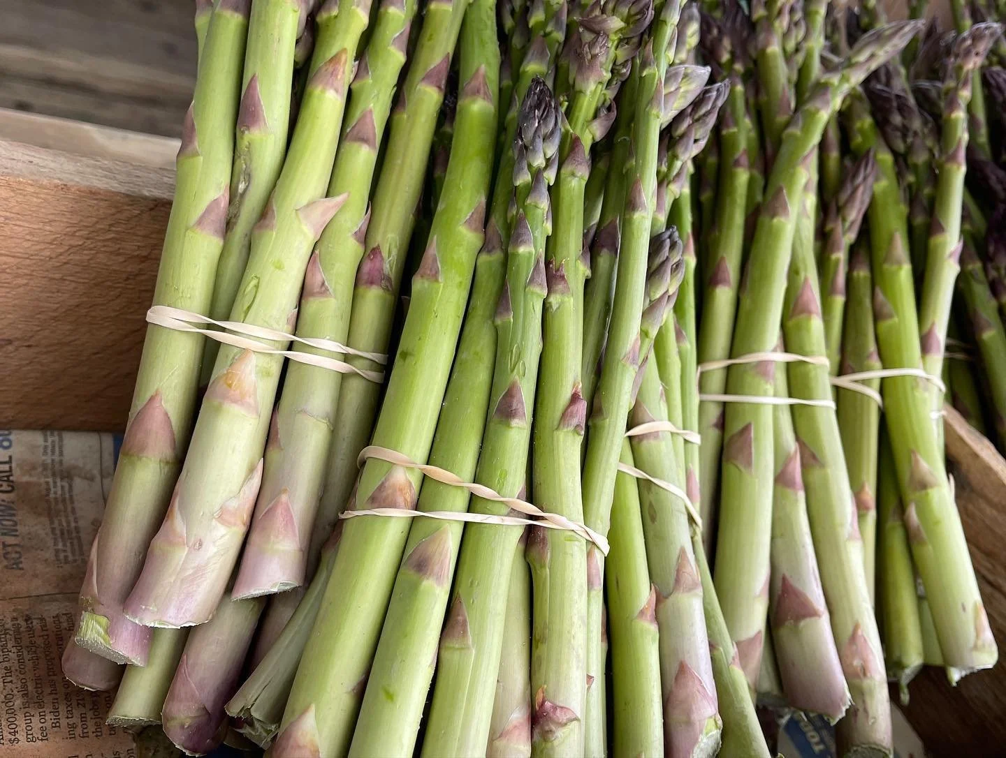Old Beach Farmers Market