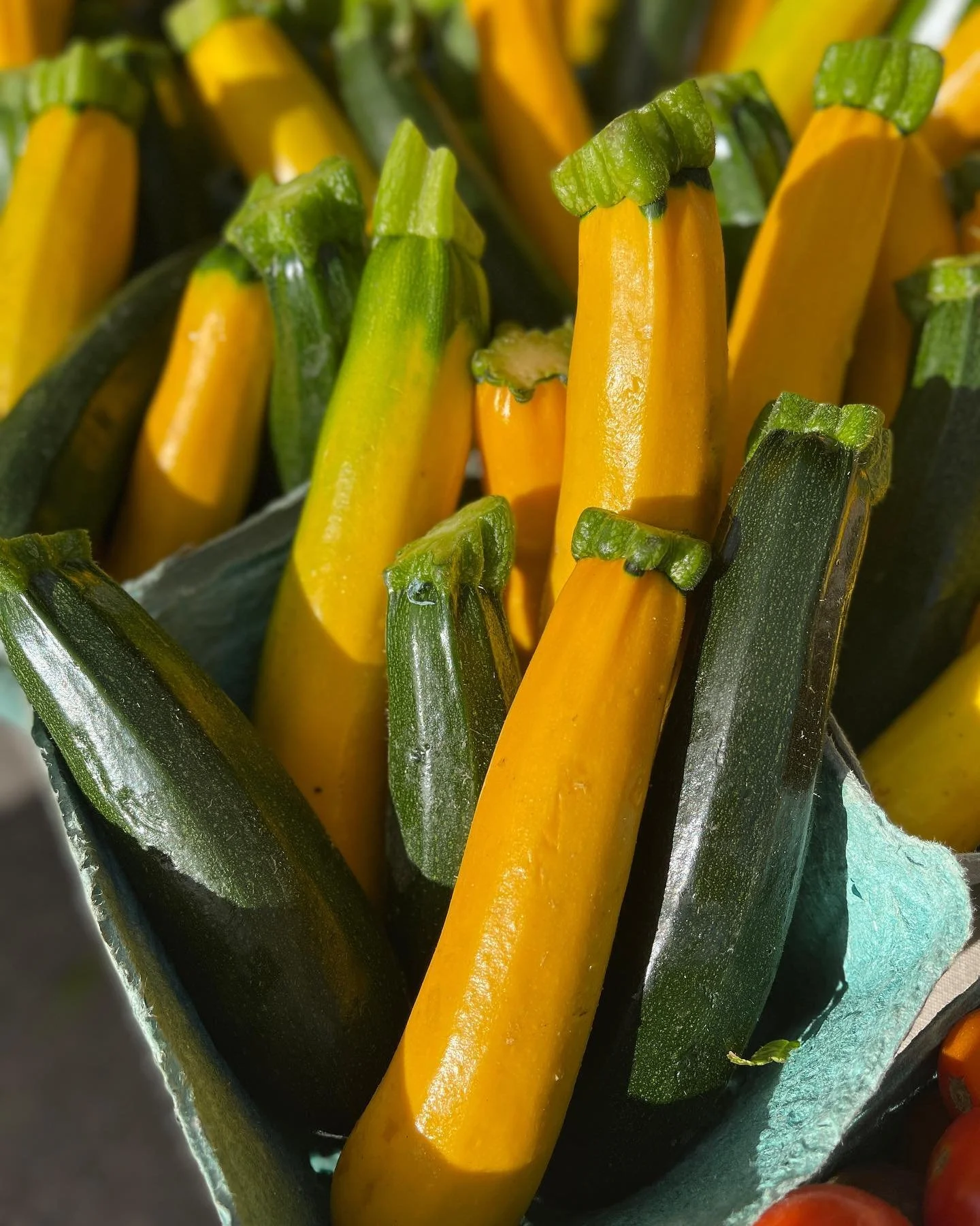Old Beach Farmers Market