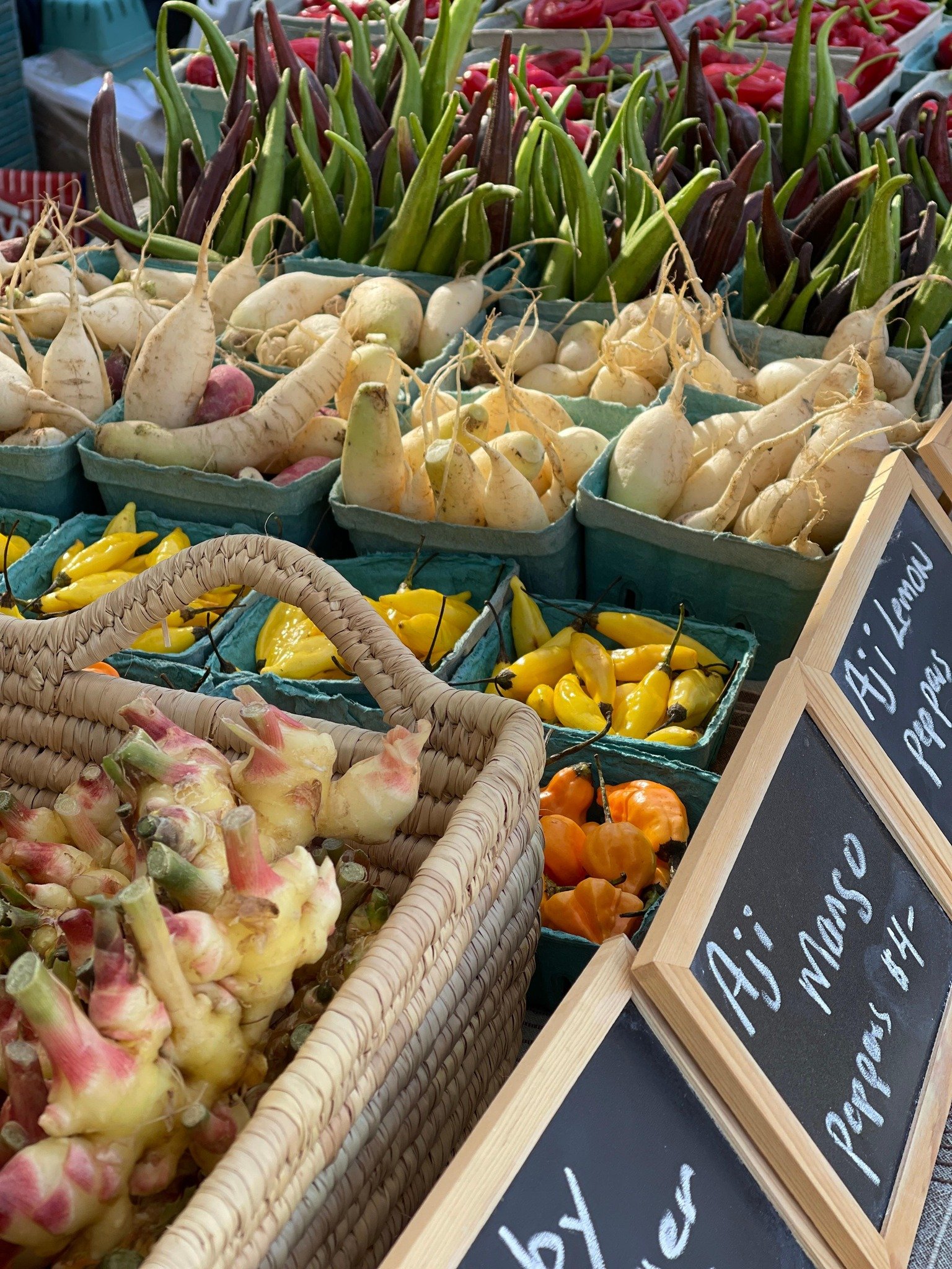 Old Beach Farmers Market