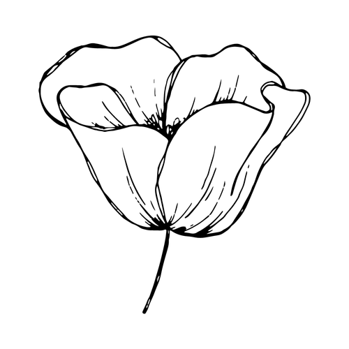 Our Story — Riverside Cemetery