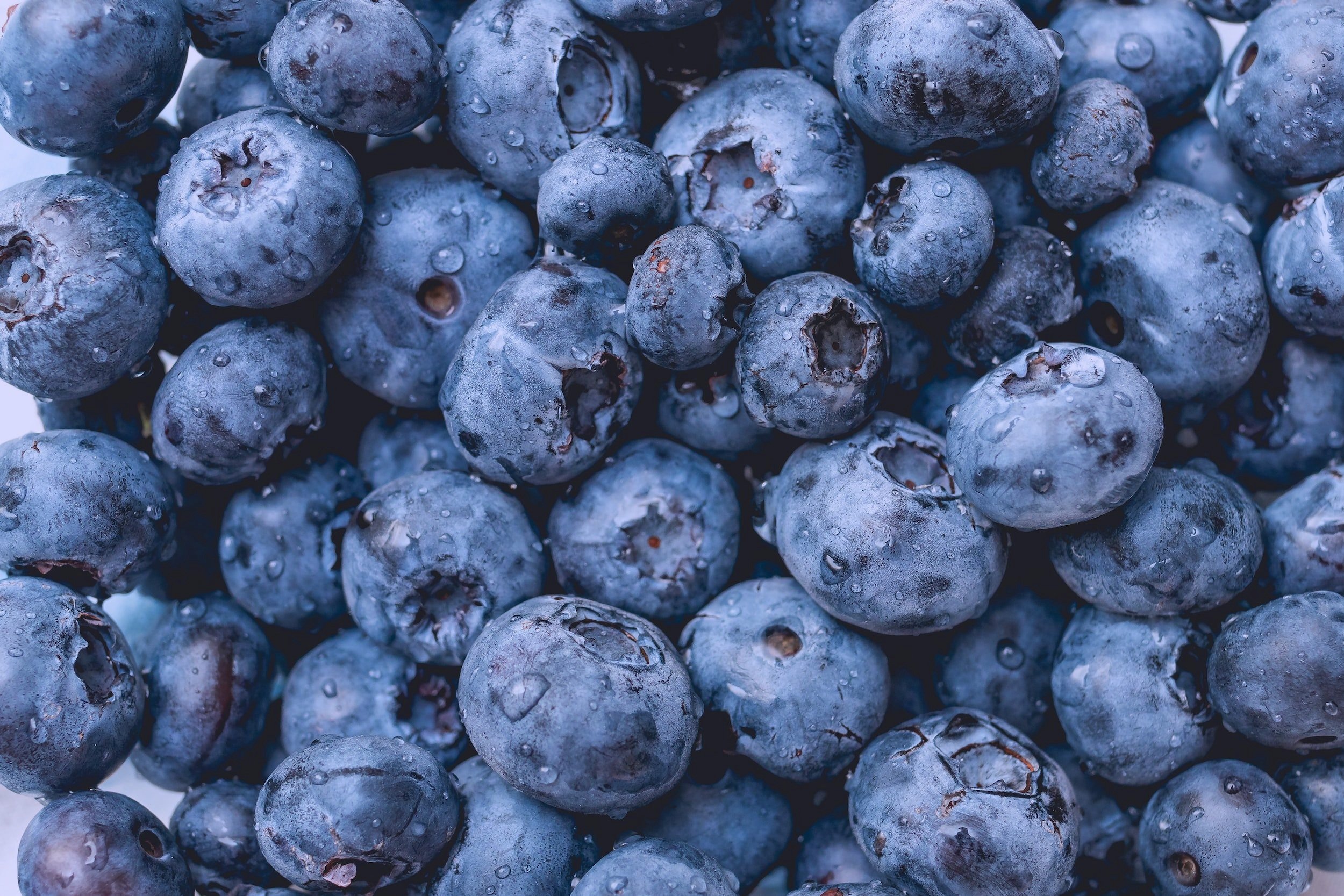 Nutrition for Athletes