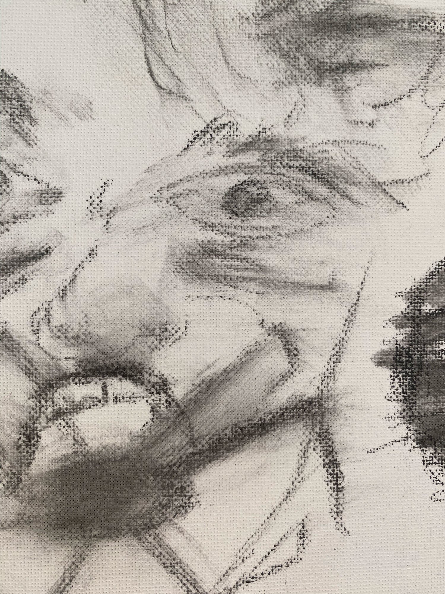 Kohlestift_near.jpg