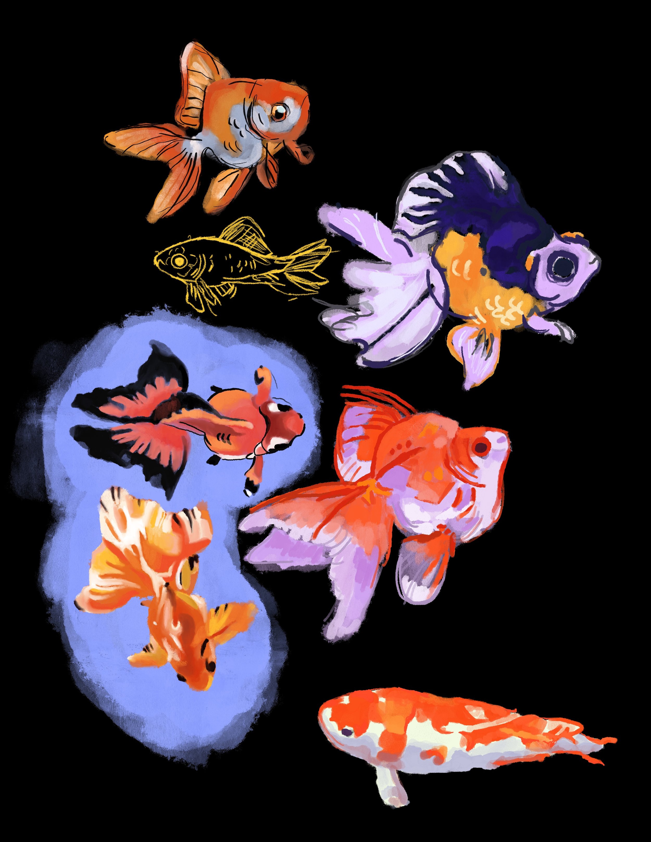 Fish_Drawings.jpeg